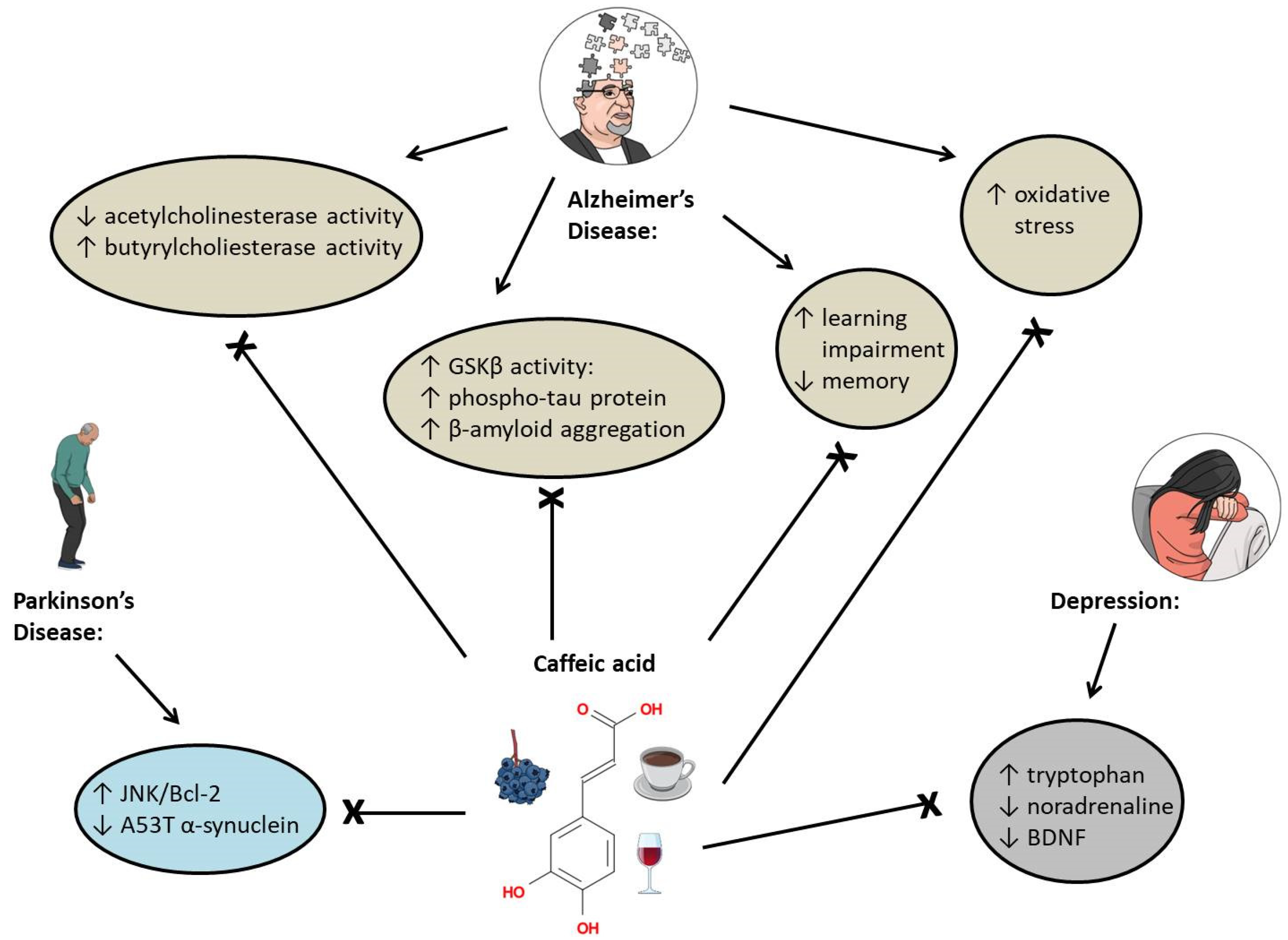 Caffeic Acid and Diseases Caffeic Acid and Diseases