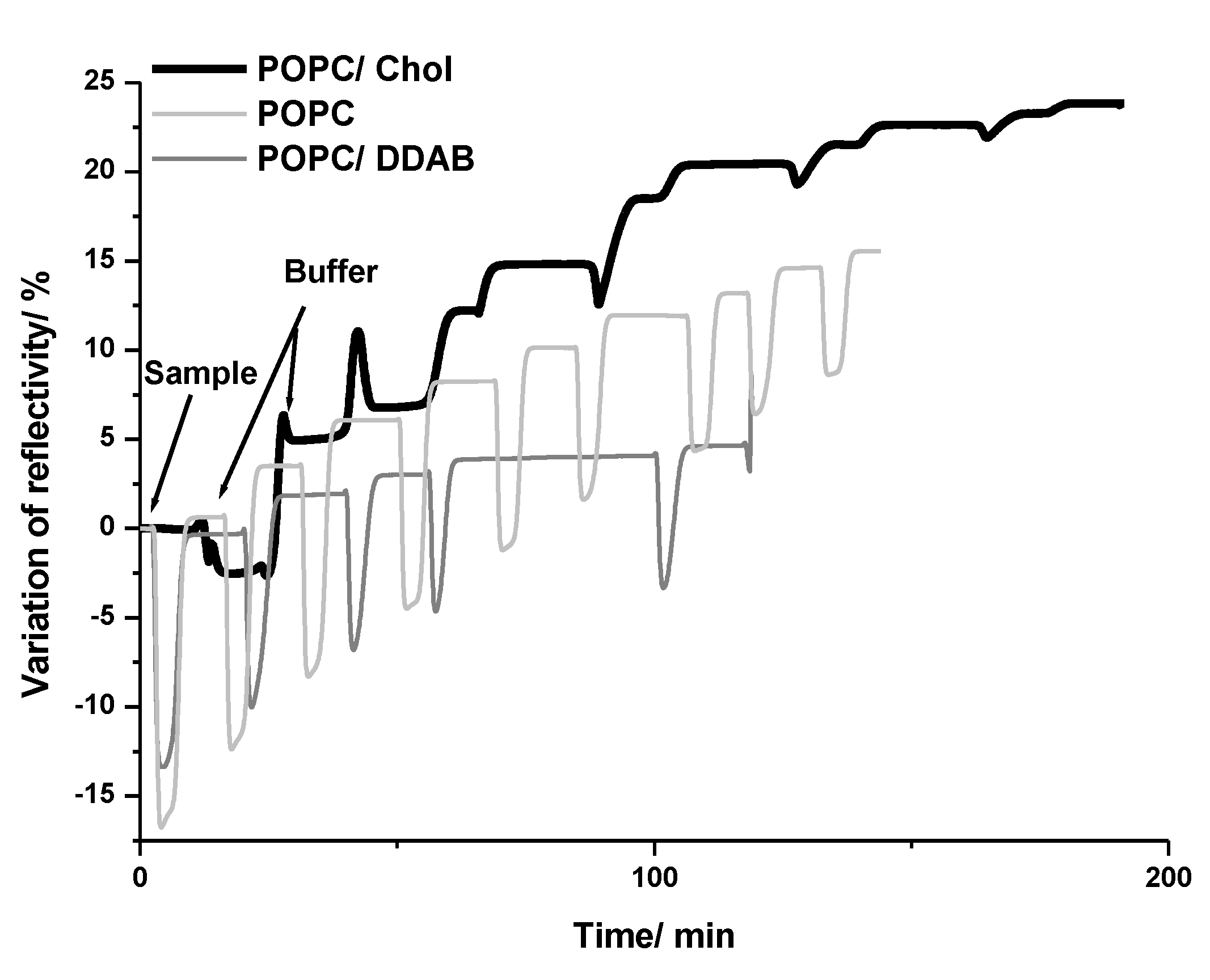 Ijms 24 00591 g002 Ijms 24 00591 g002