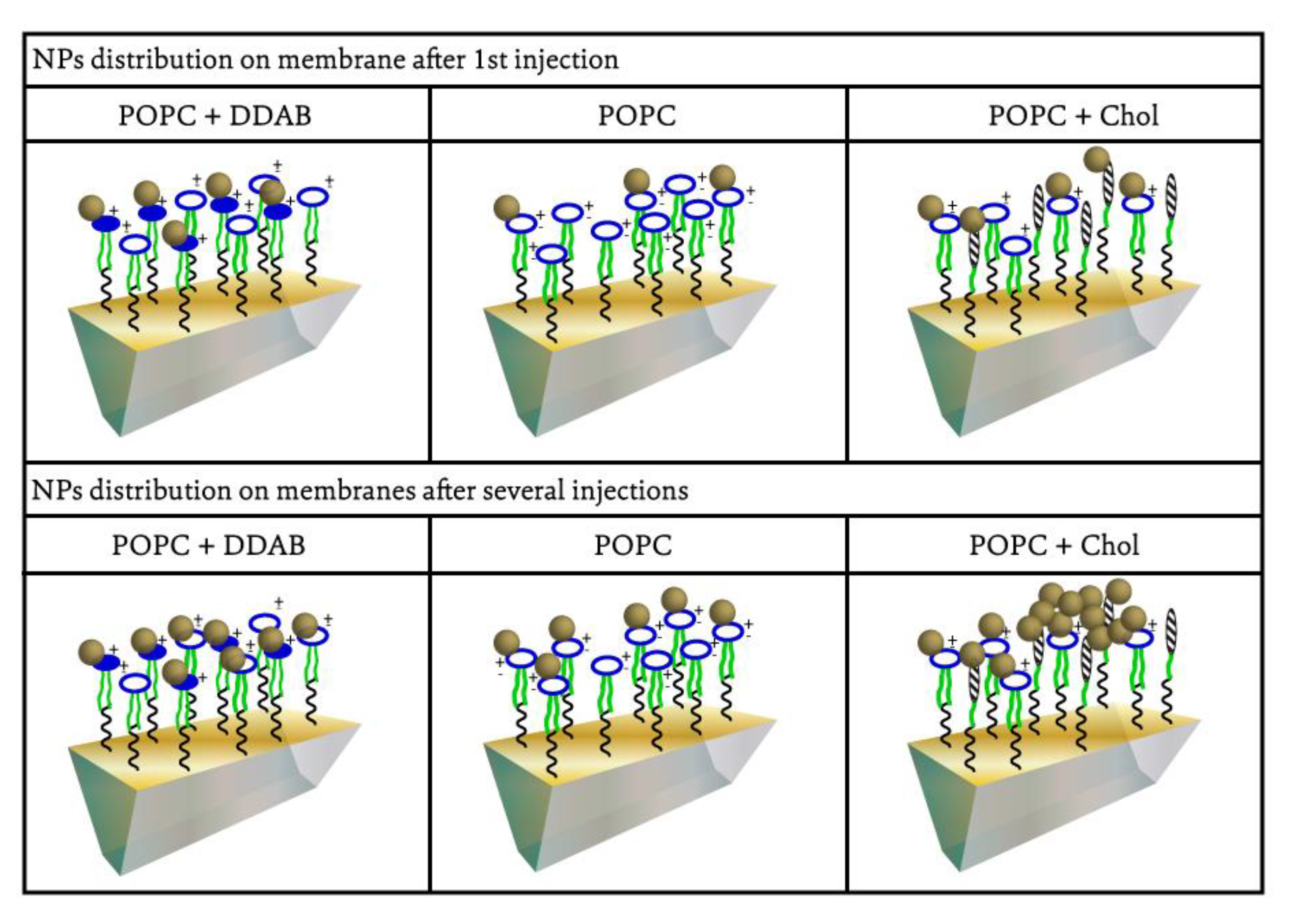 Ijms 24 00591 g005 Ijms 24 00591 g005