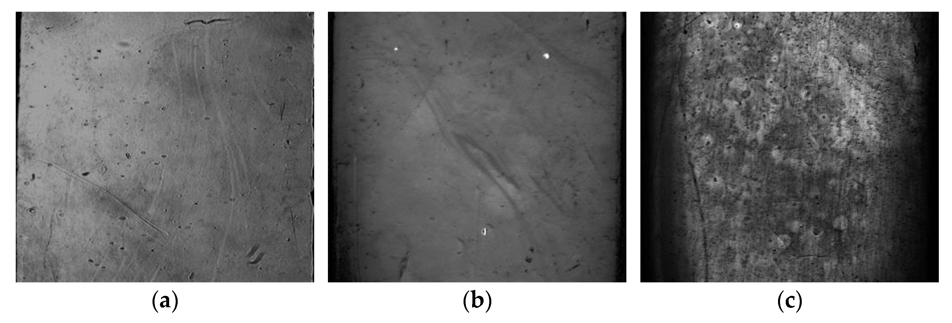 Ijms 24 00591 g006 Ijms 24 00591 g006