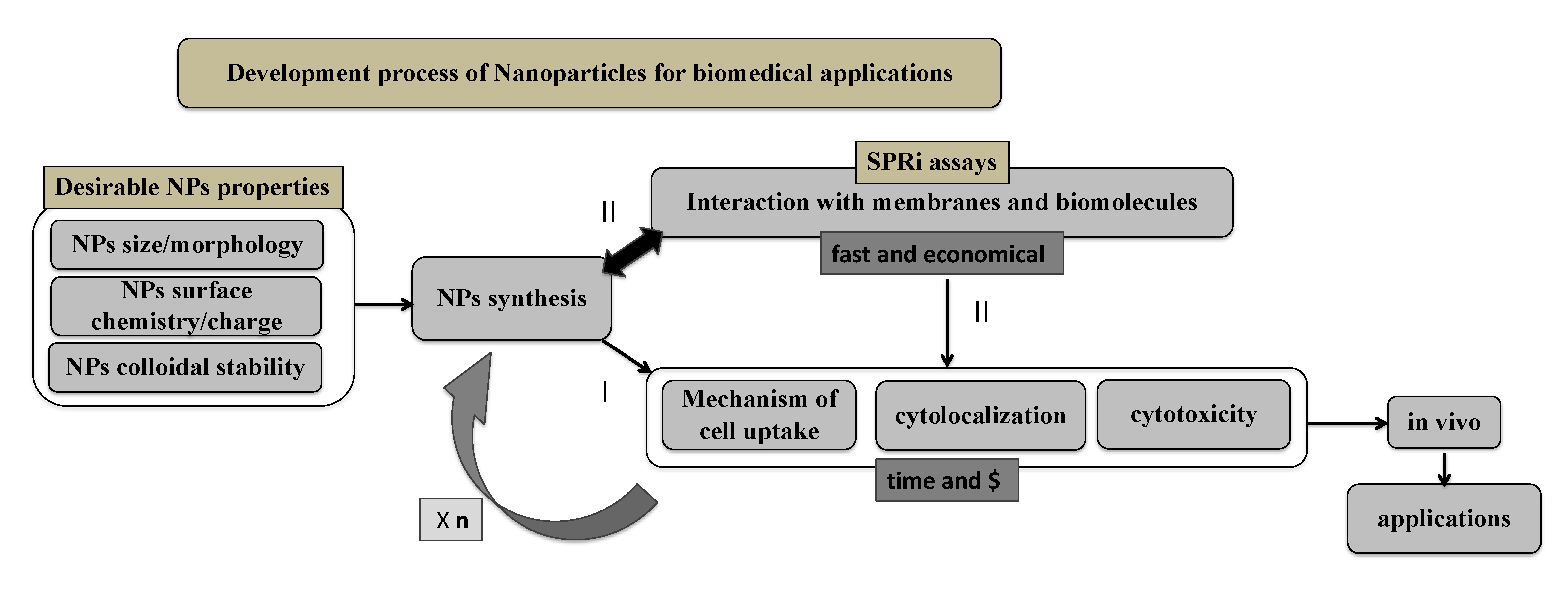 Ijms 24 00591 g010 Ijms 24 00591 g010