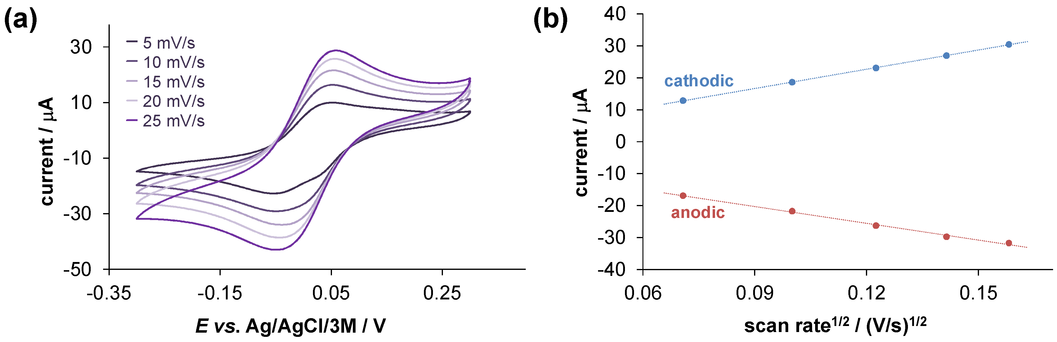 Ijms 24 00593 g003 Ijms 24 00593 g003