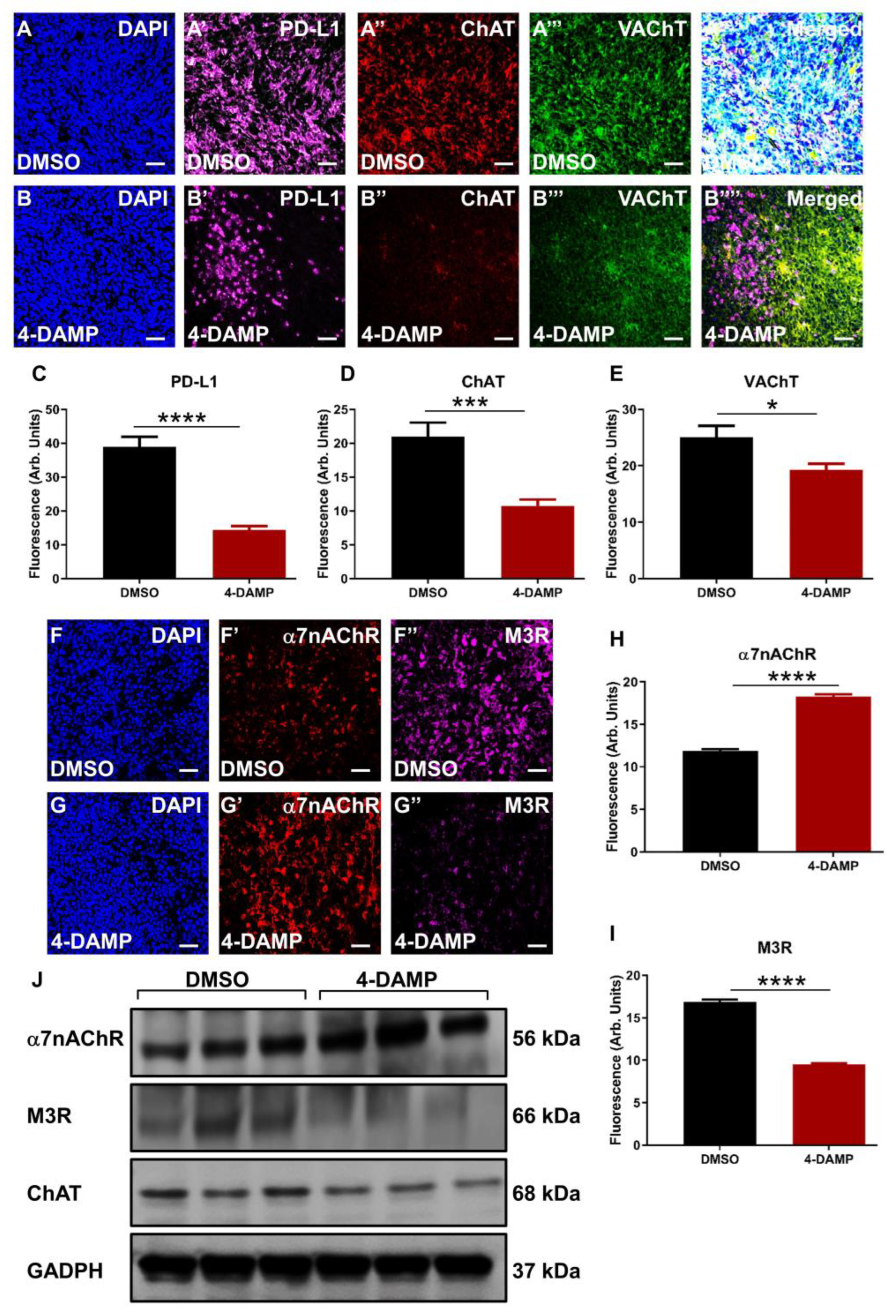 Ijms 24 00596 g006 Ijms 24 00596 g006