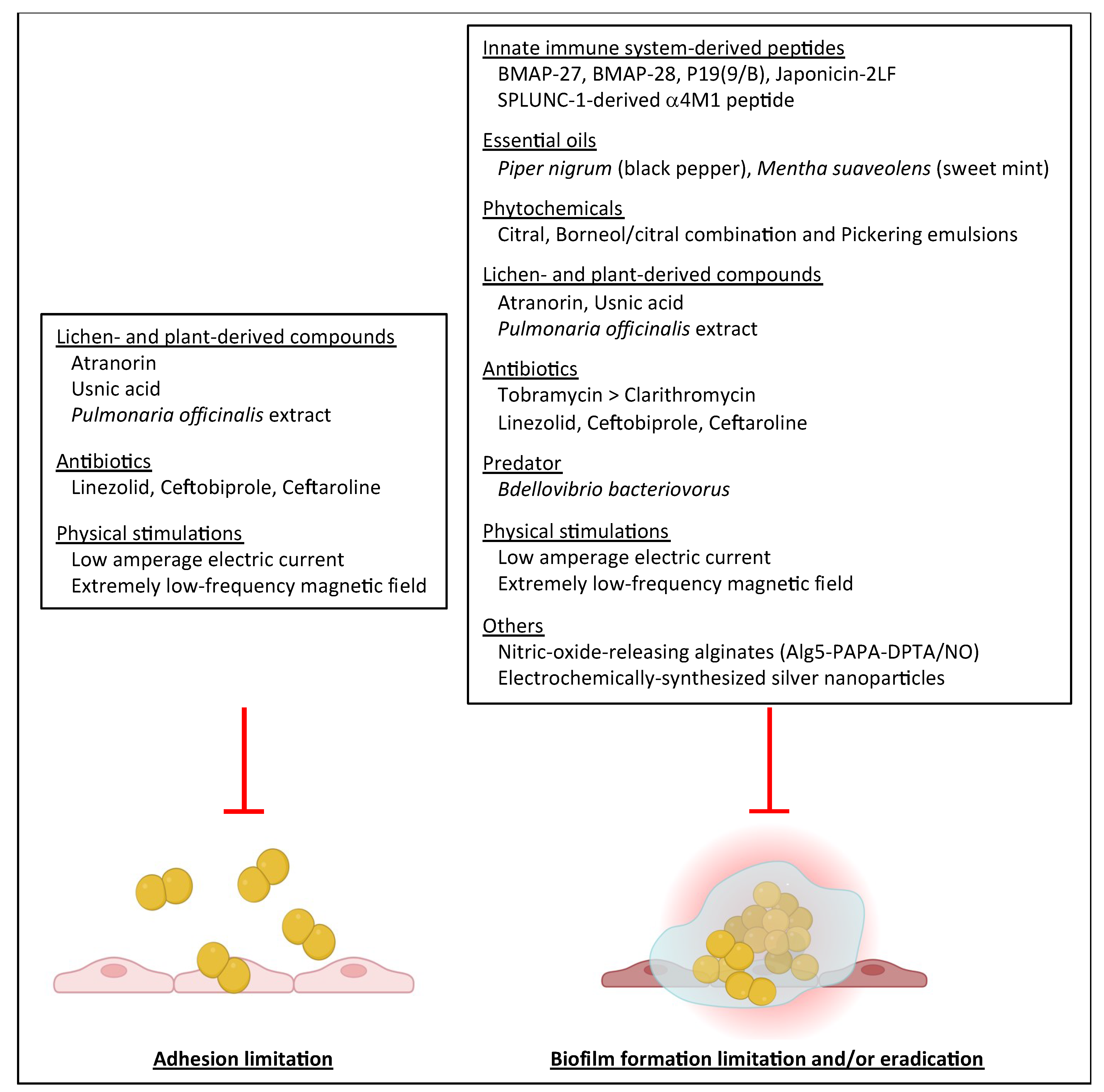 Ijms 24 00597 g003 Ijms 24 00597 g003