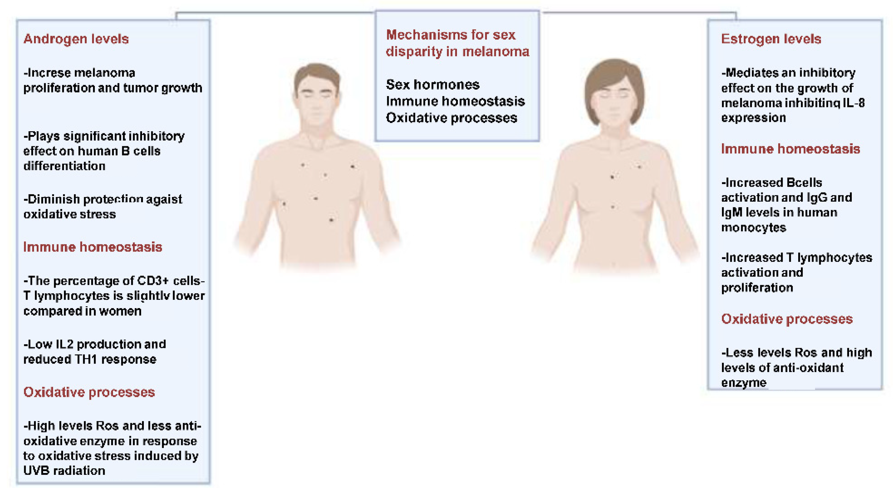 IJMS | Free Full-Text | Cutaneous Melanoma and Hormones: Focus on Sex  Differences and the Testis
