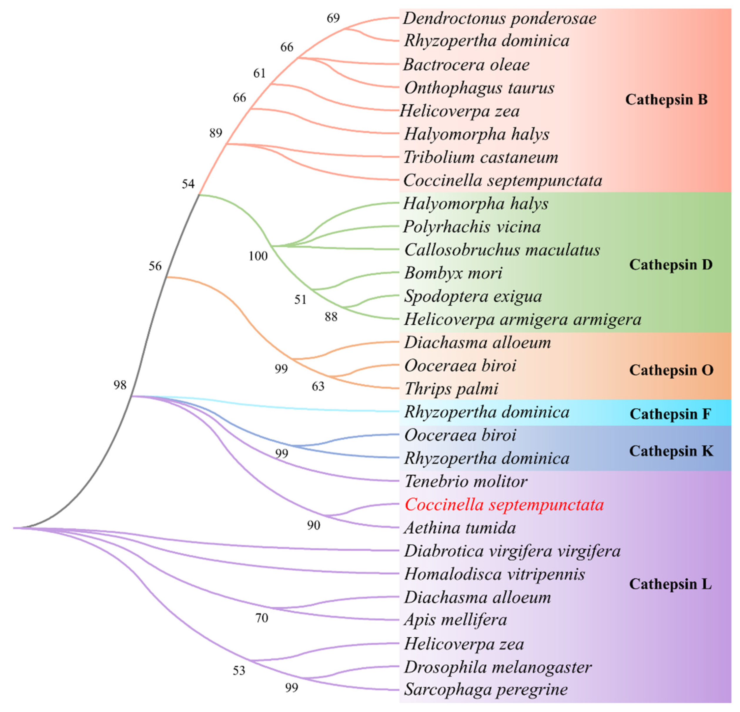 Ijms 24 00611 g002 Ijms 24 00611 g002