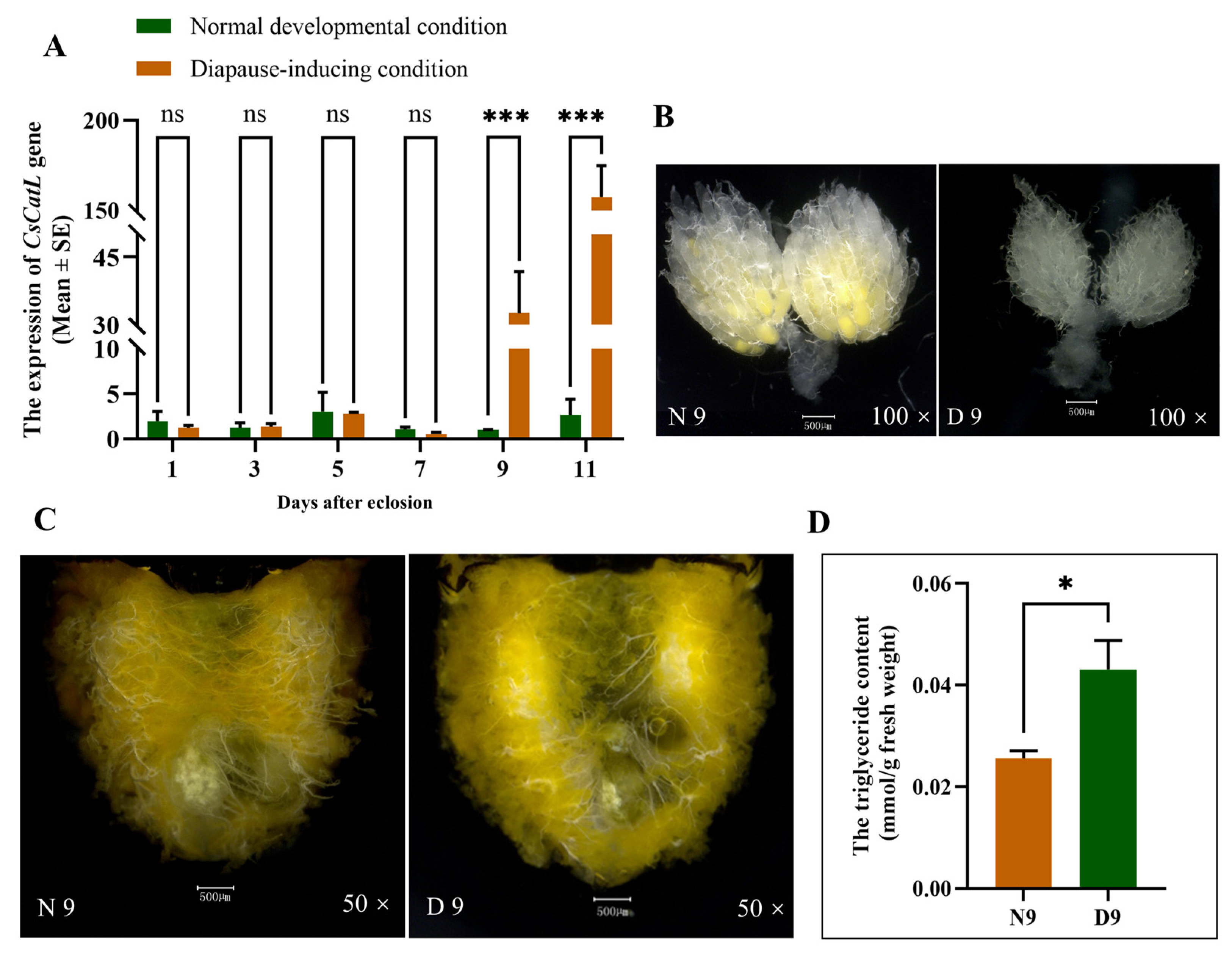 Ijms 24 00611 g003 Ijms 24 00611 g003