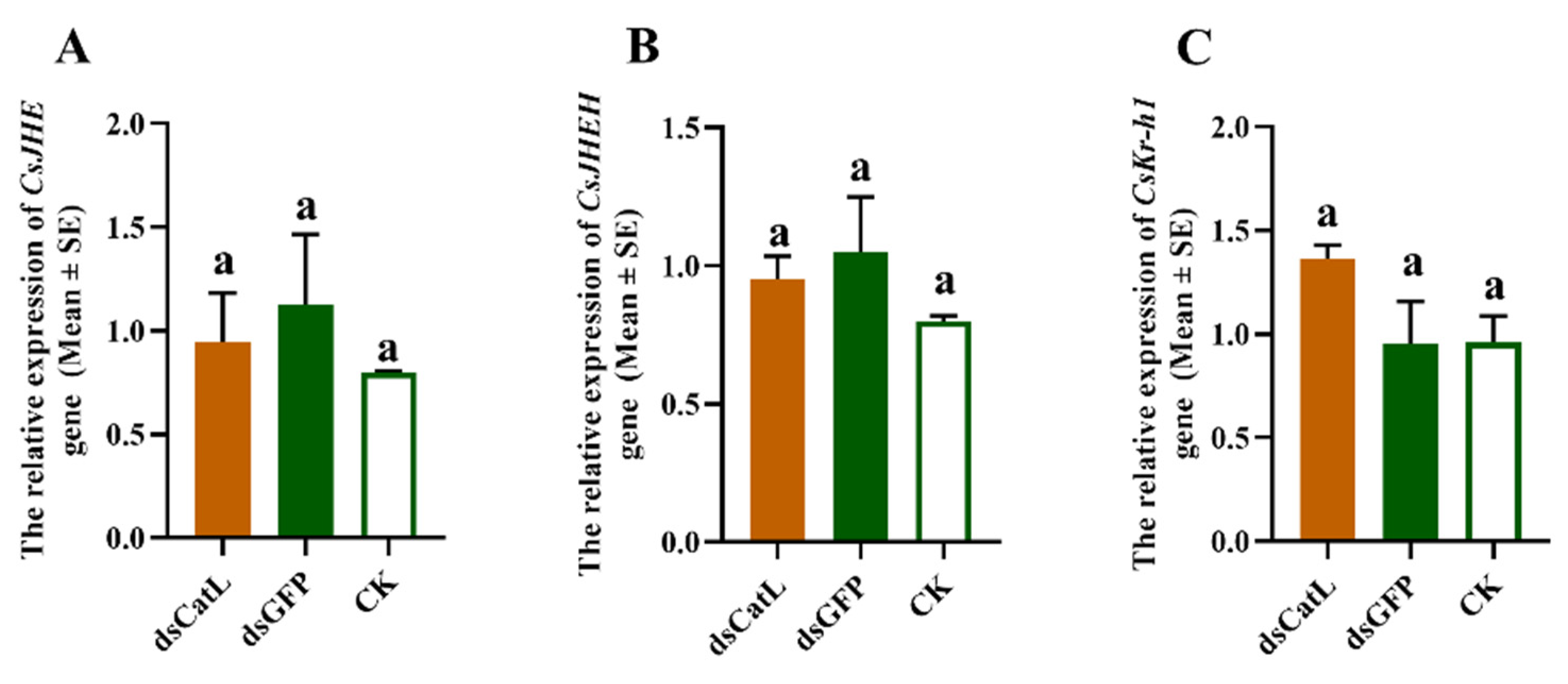 Ijms 24 00611 g005 Ijms 24 00611 g005