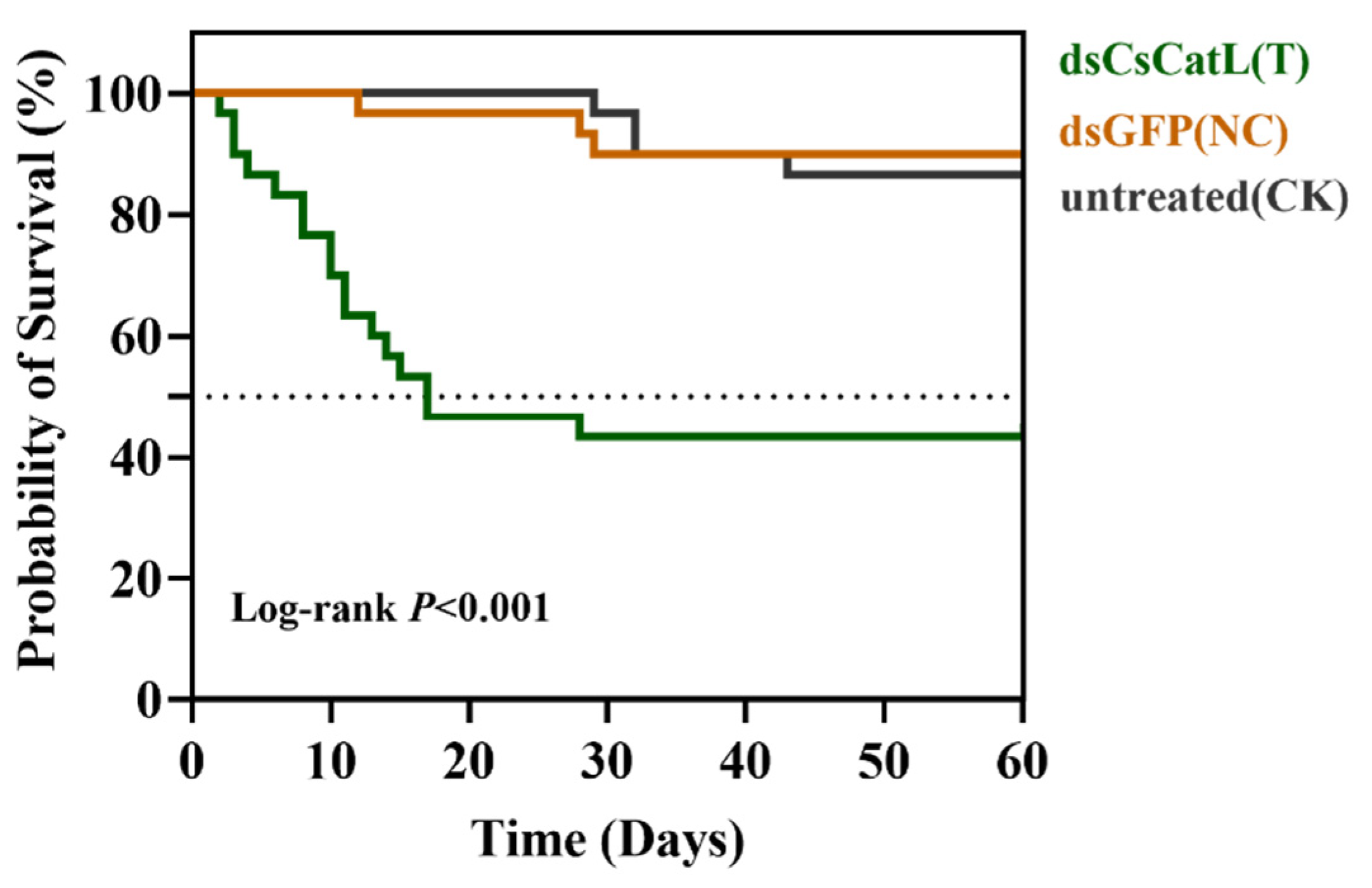 Ijms 24 00611 g006 Ijms 24 00611 g006