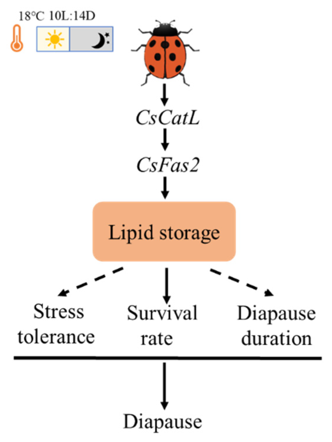 Ijms 24 00611 g007 Ijms 24 00611 g007