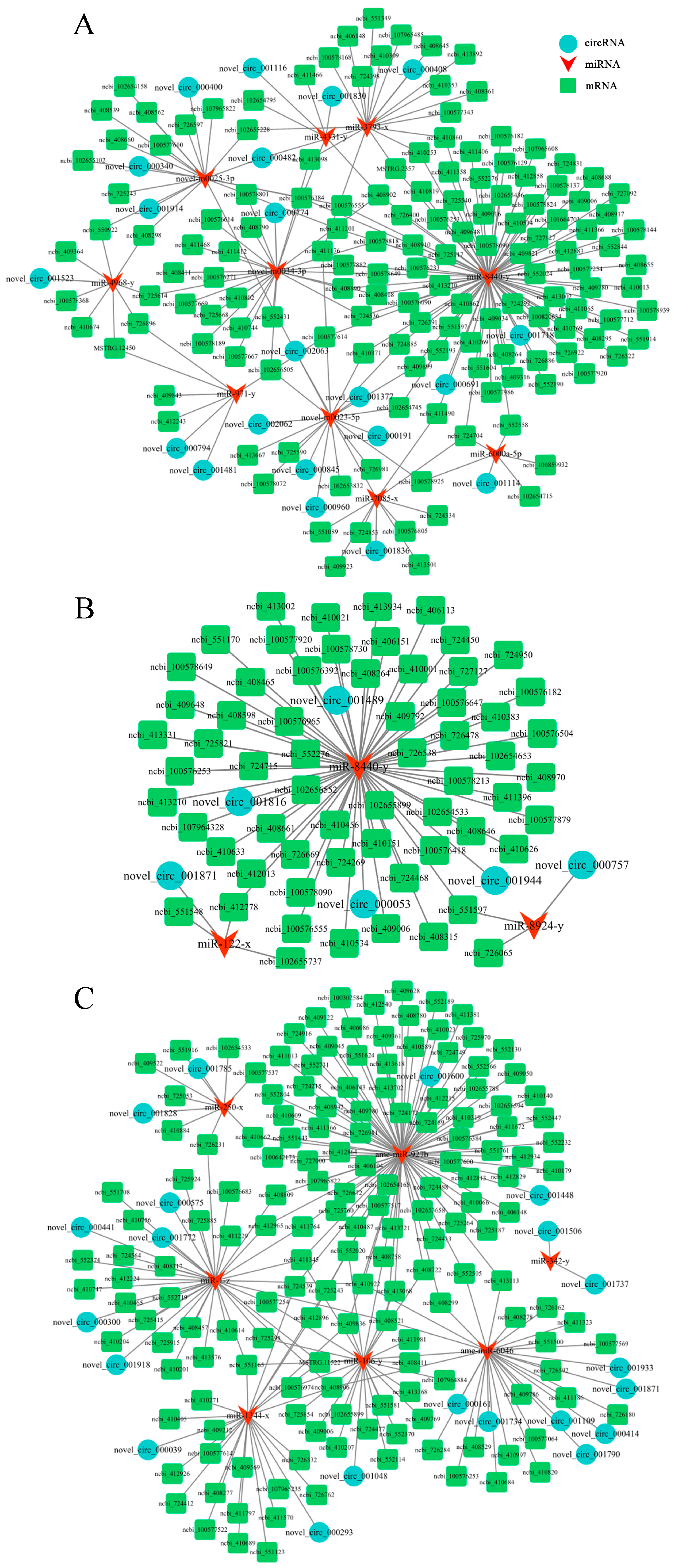 Ijms 24 00613 g004 Ijms 24 00613 g004