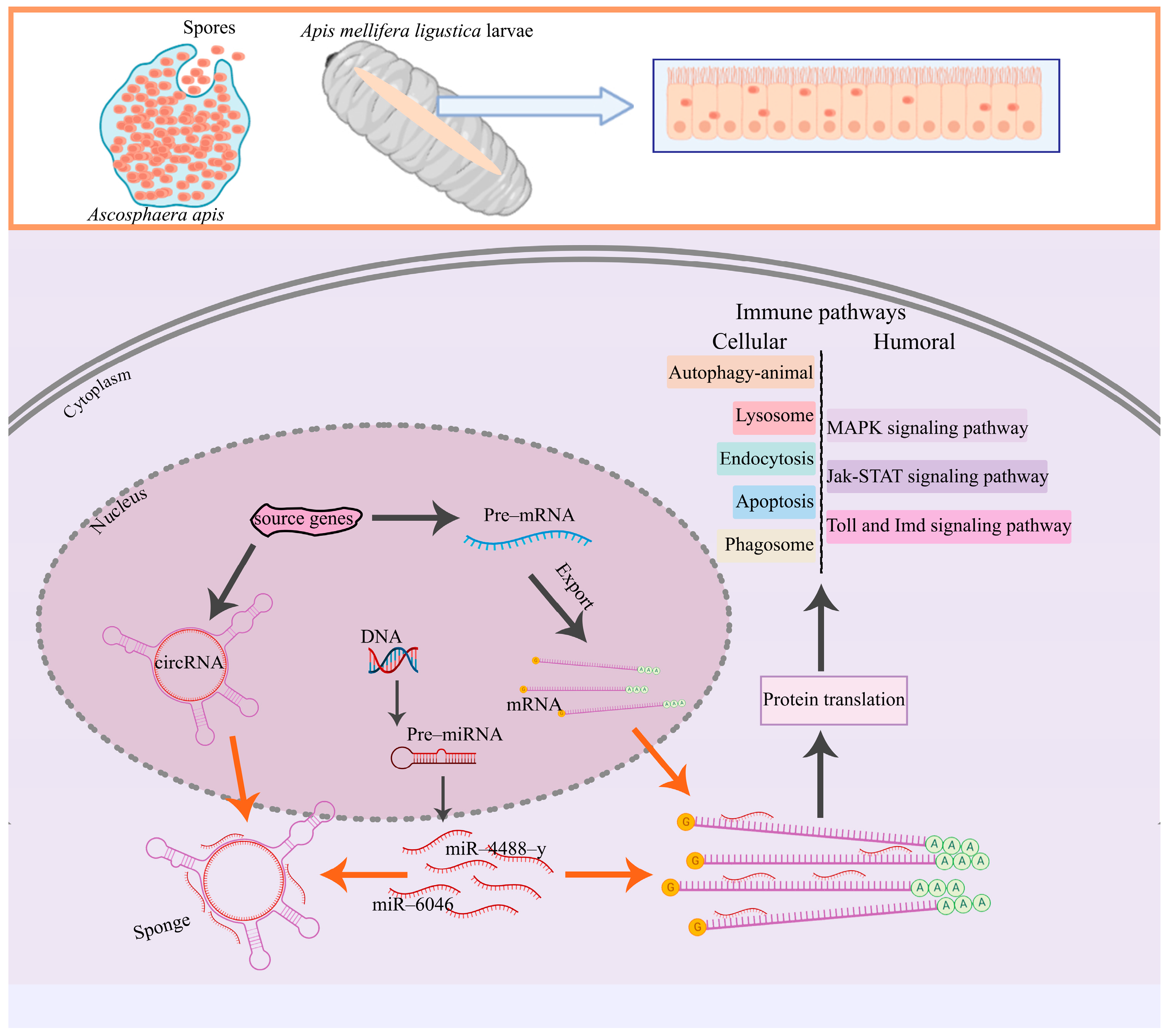 Ijms 24 00613 g009 Ijms 24 00613 g009