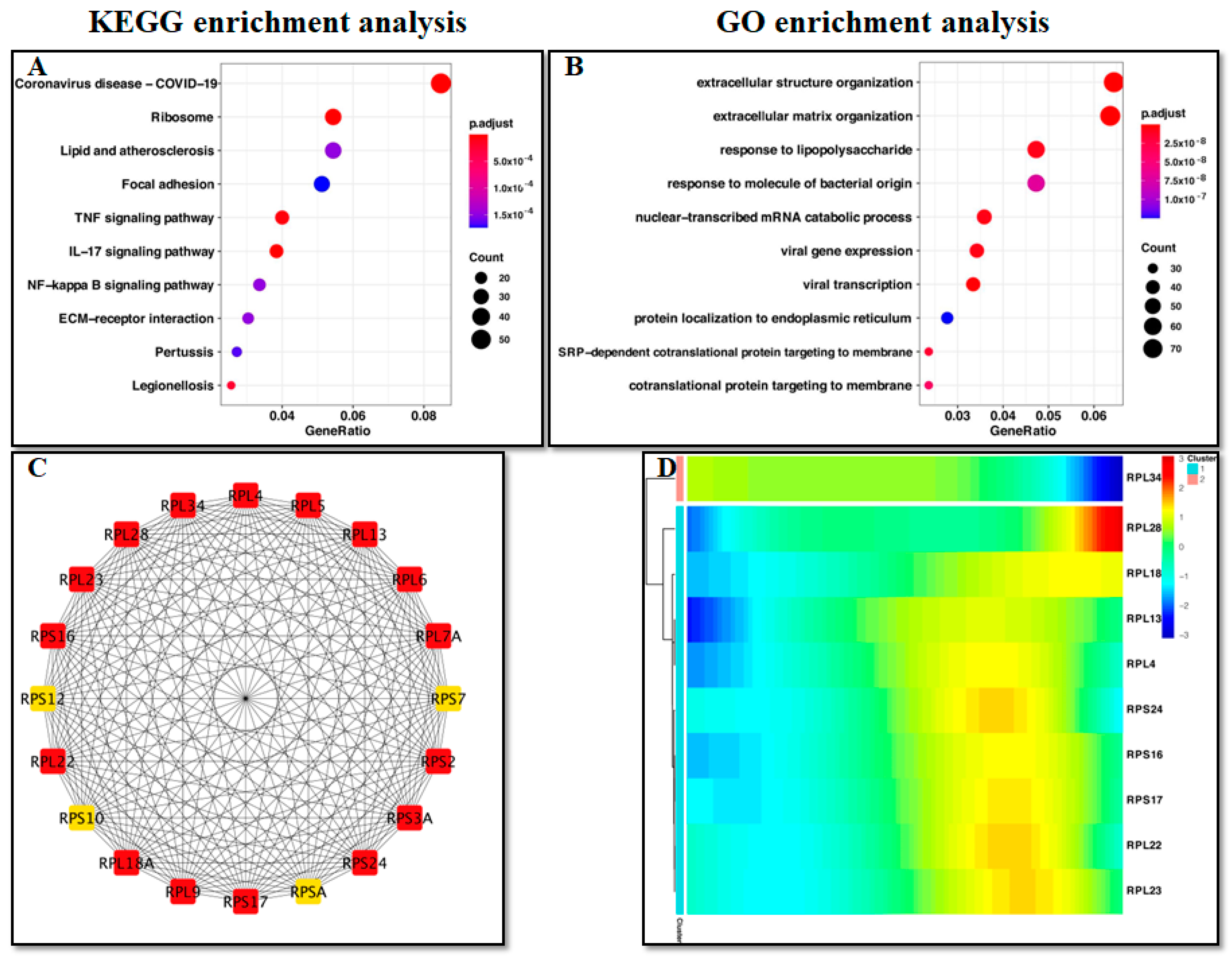Ijms 24 00618 g004 Ijms 24 00618 g004