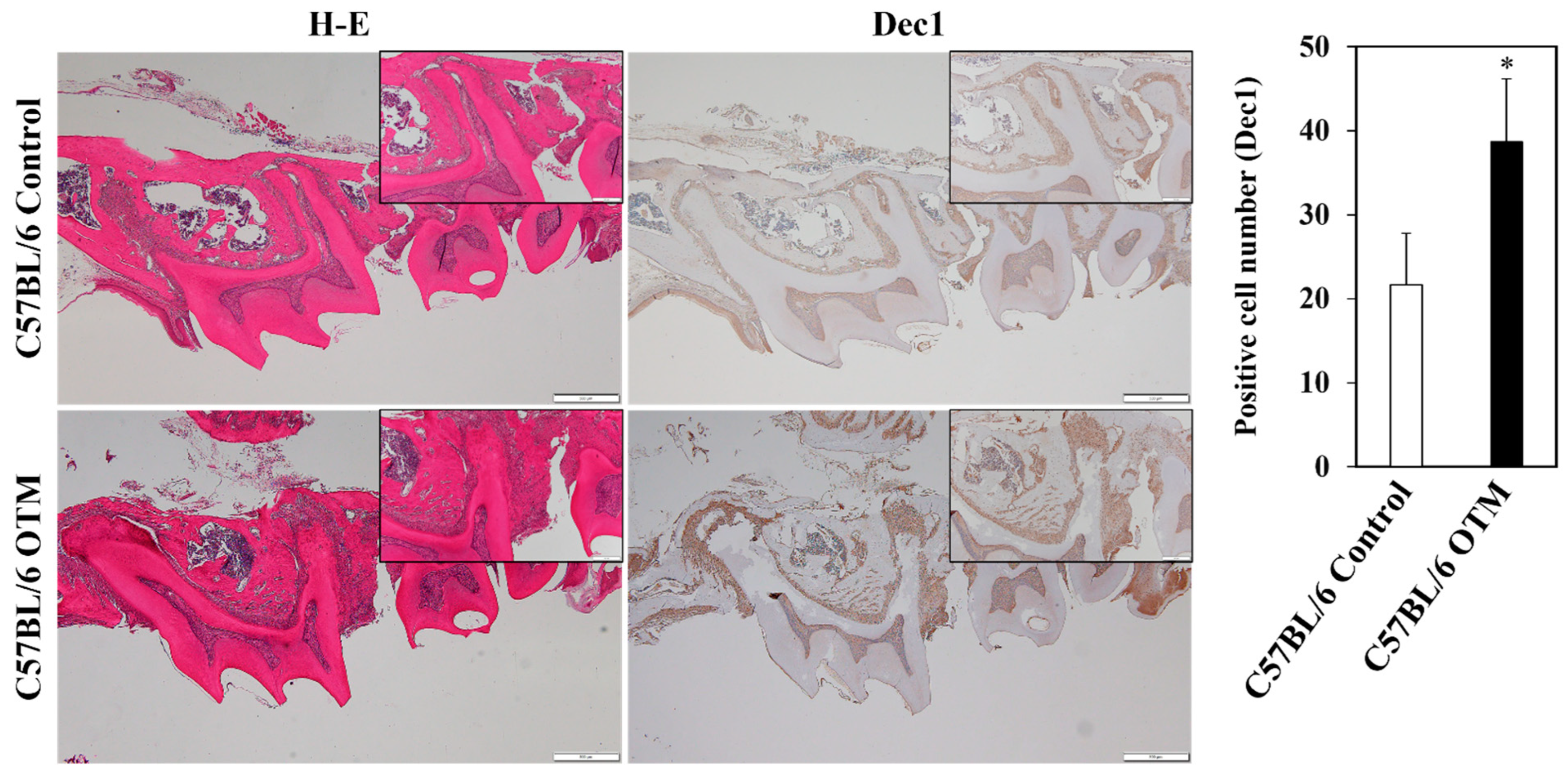 Ijms 24 00618 g006 Ijms 24 00618 g006