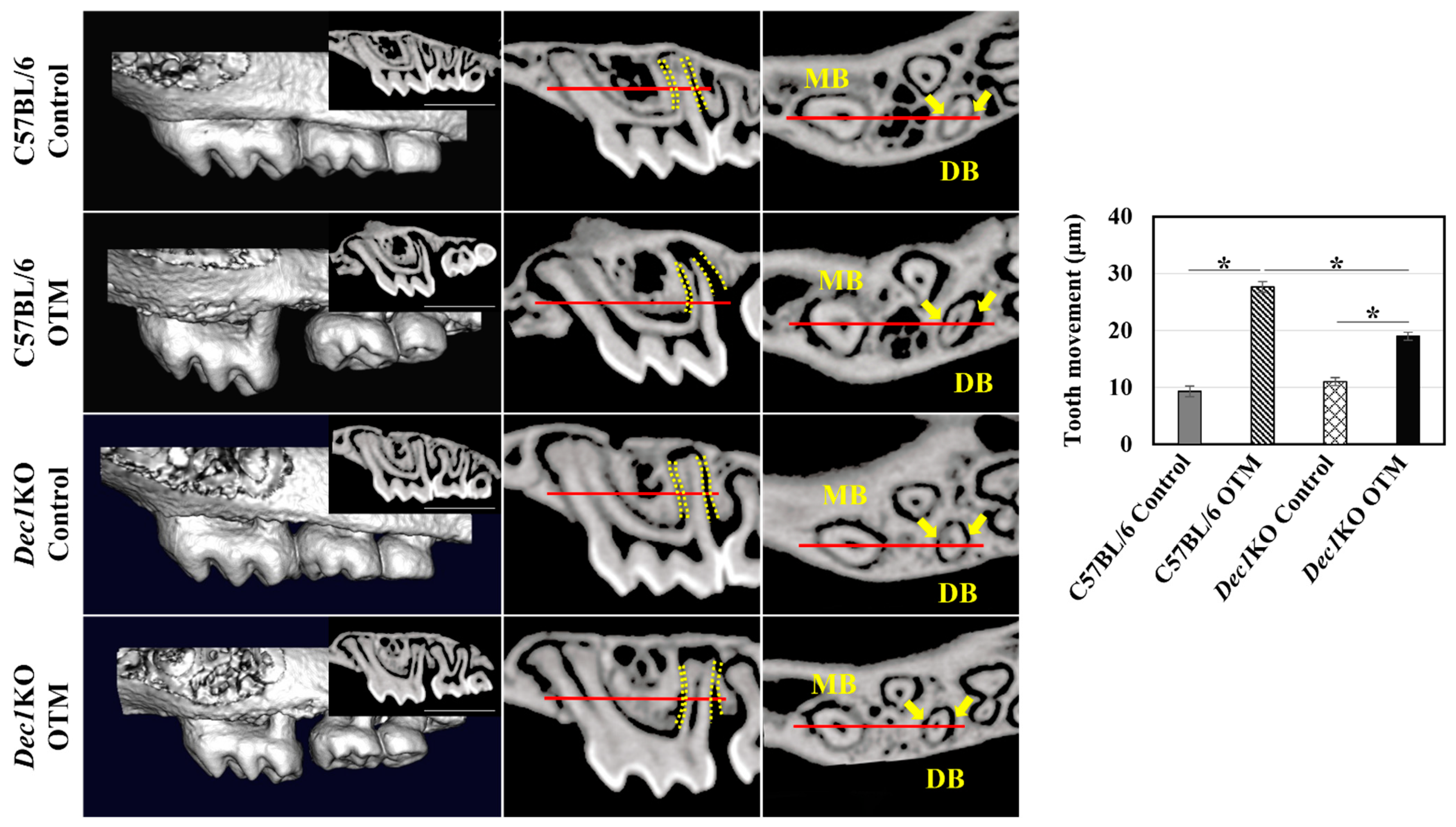 Ijms 24 00618 g007 Ijms 24 00618 g007
