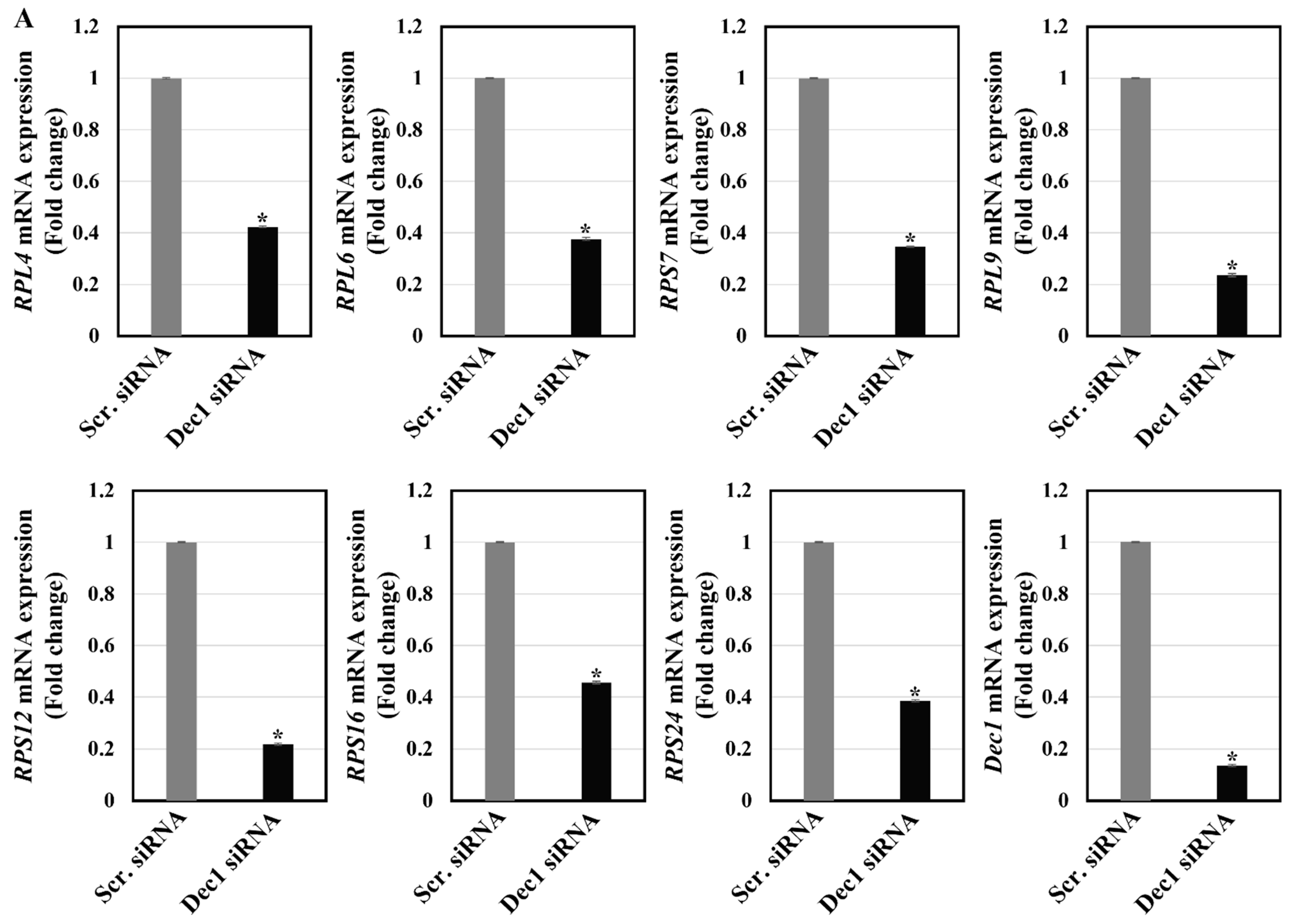 Ijms 24 00618 g012a Ijms 24 00618 g012a