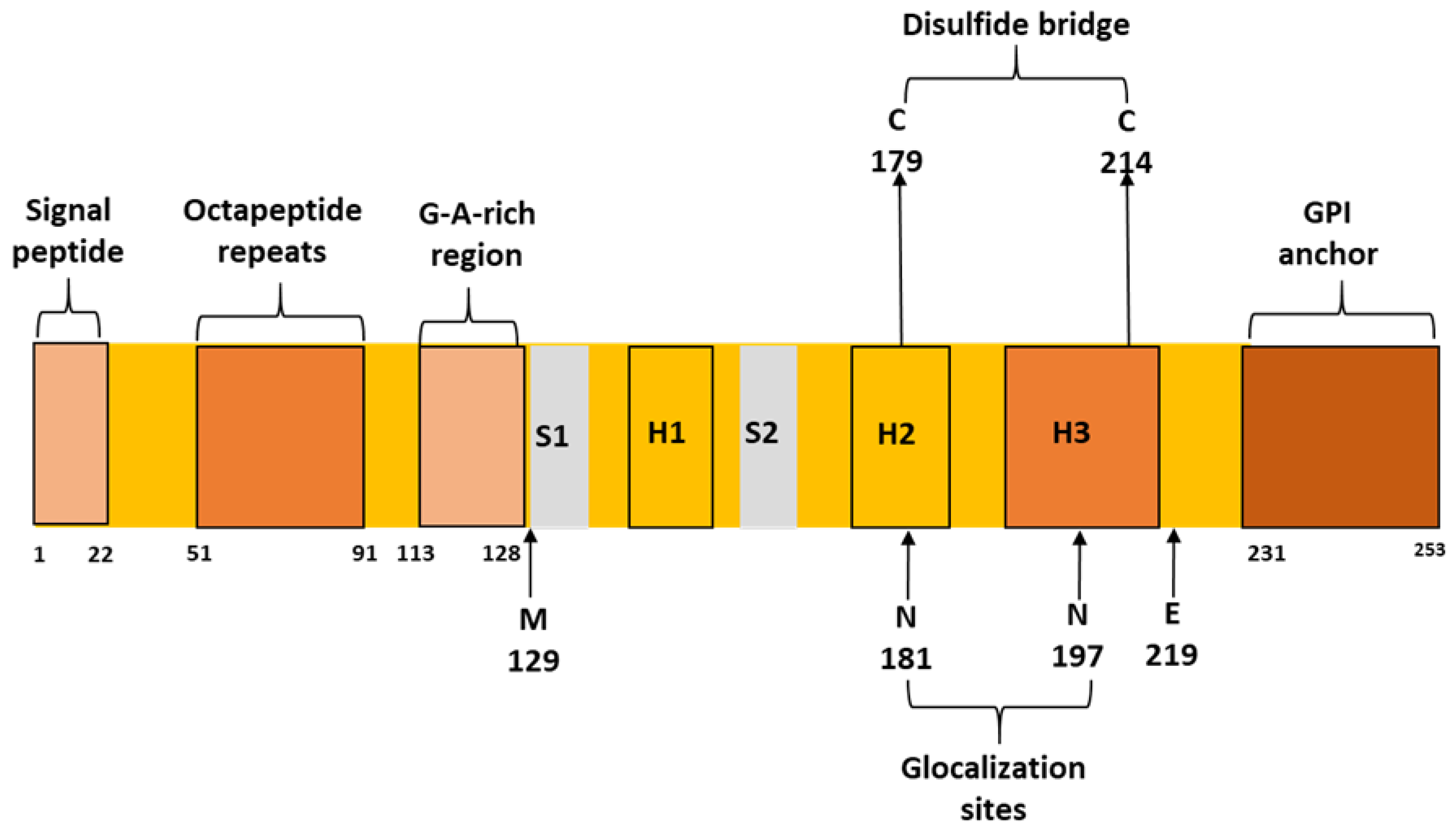 Ijms 24 00625 g001 Ijms 24 00625 g001