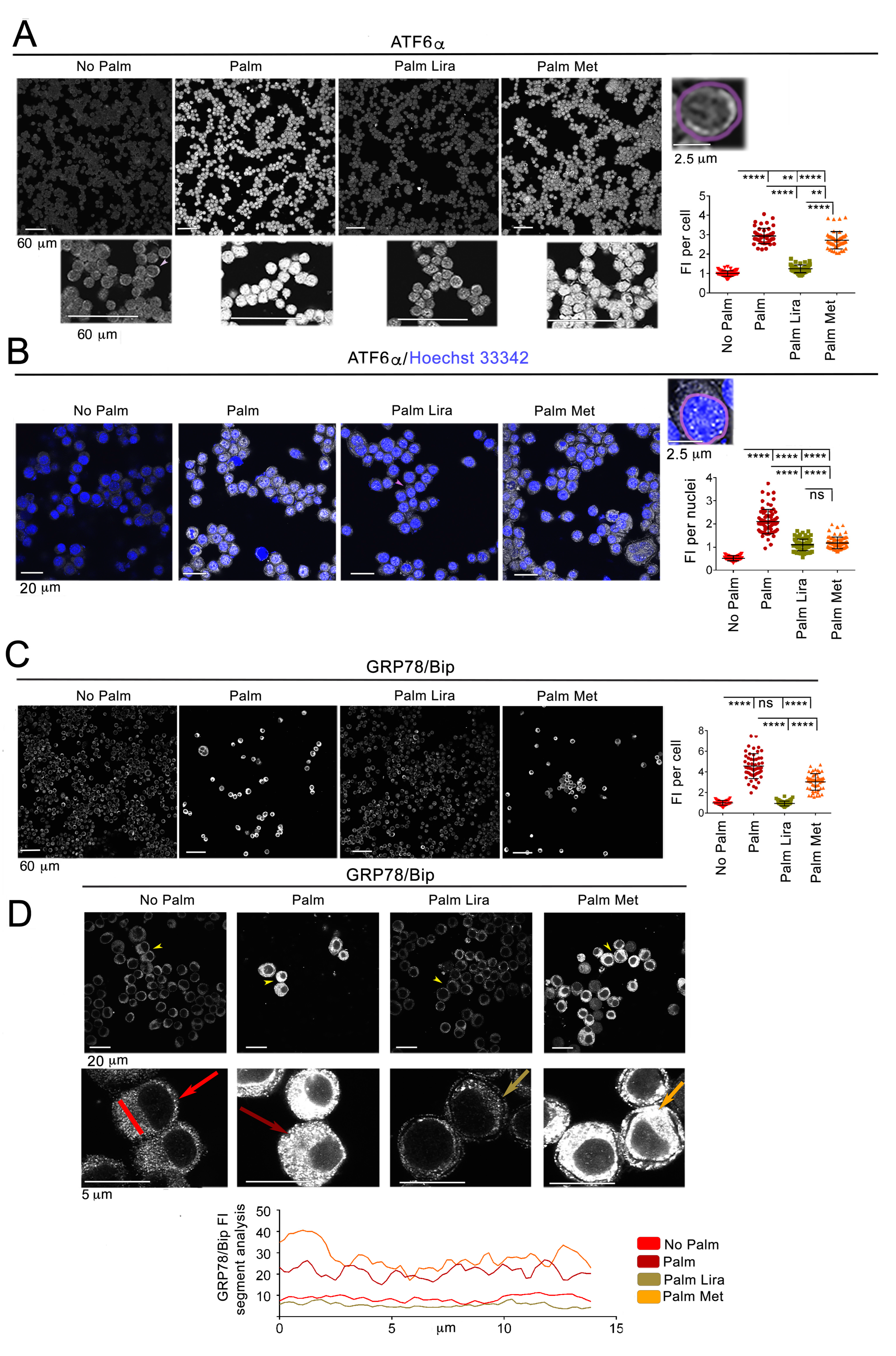 Ijms 24 00629 g001 Ijms 24 00629 g001