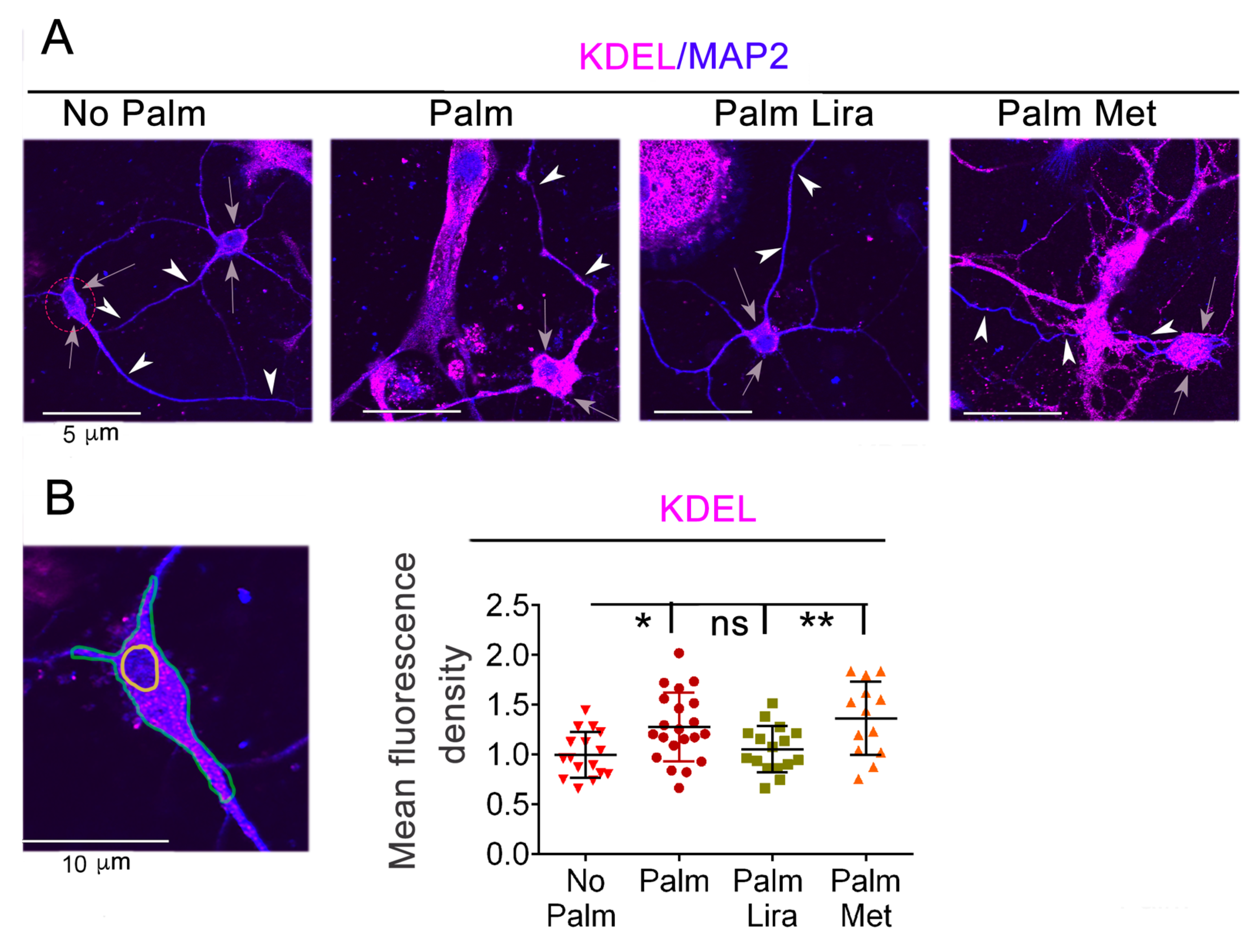 Ijms 24 00629 g004 Ijms 24 00629 g004