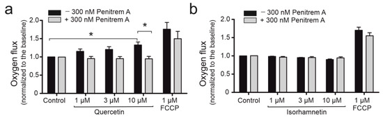 Effect of Quercetin on mitoBKCa Channel and Mitochondrial Function in ...