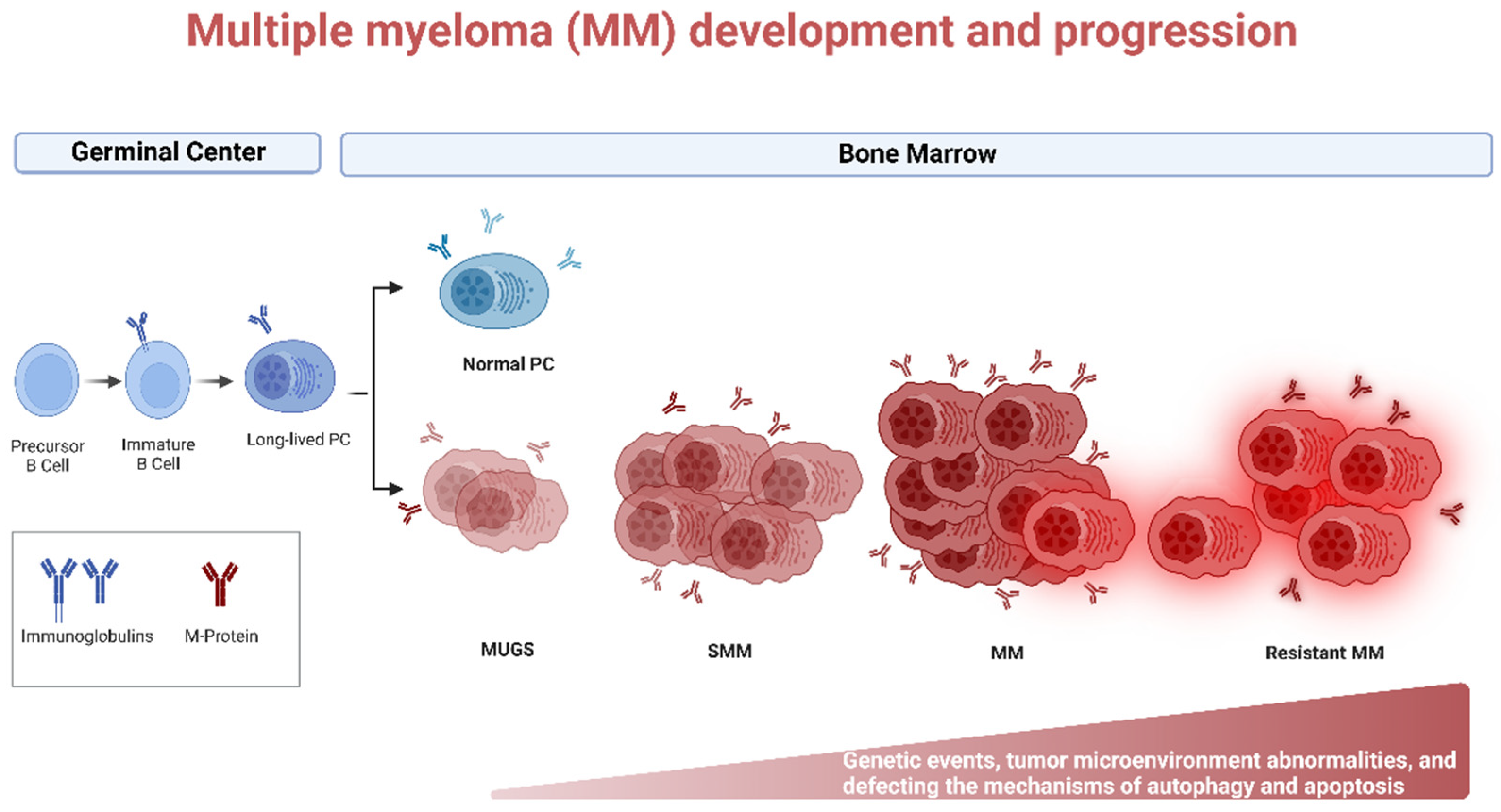 IJMS Free FullText Autophagy and Apoptosis Current Challenges of