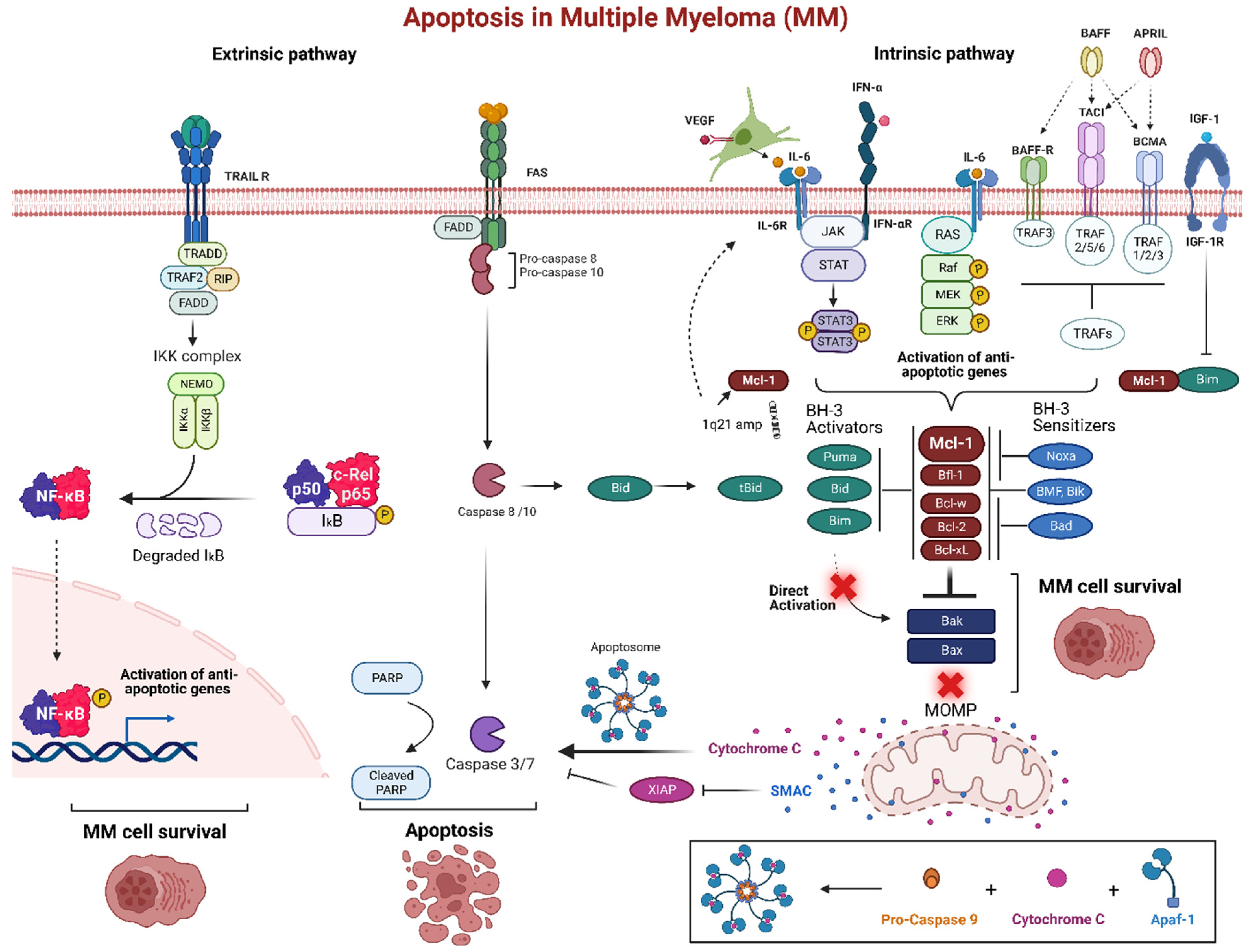 Ijms 24 00644 g003 Ijms 24 00644 g003