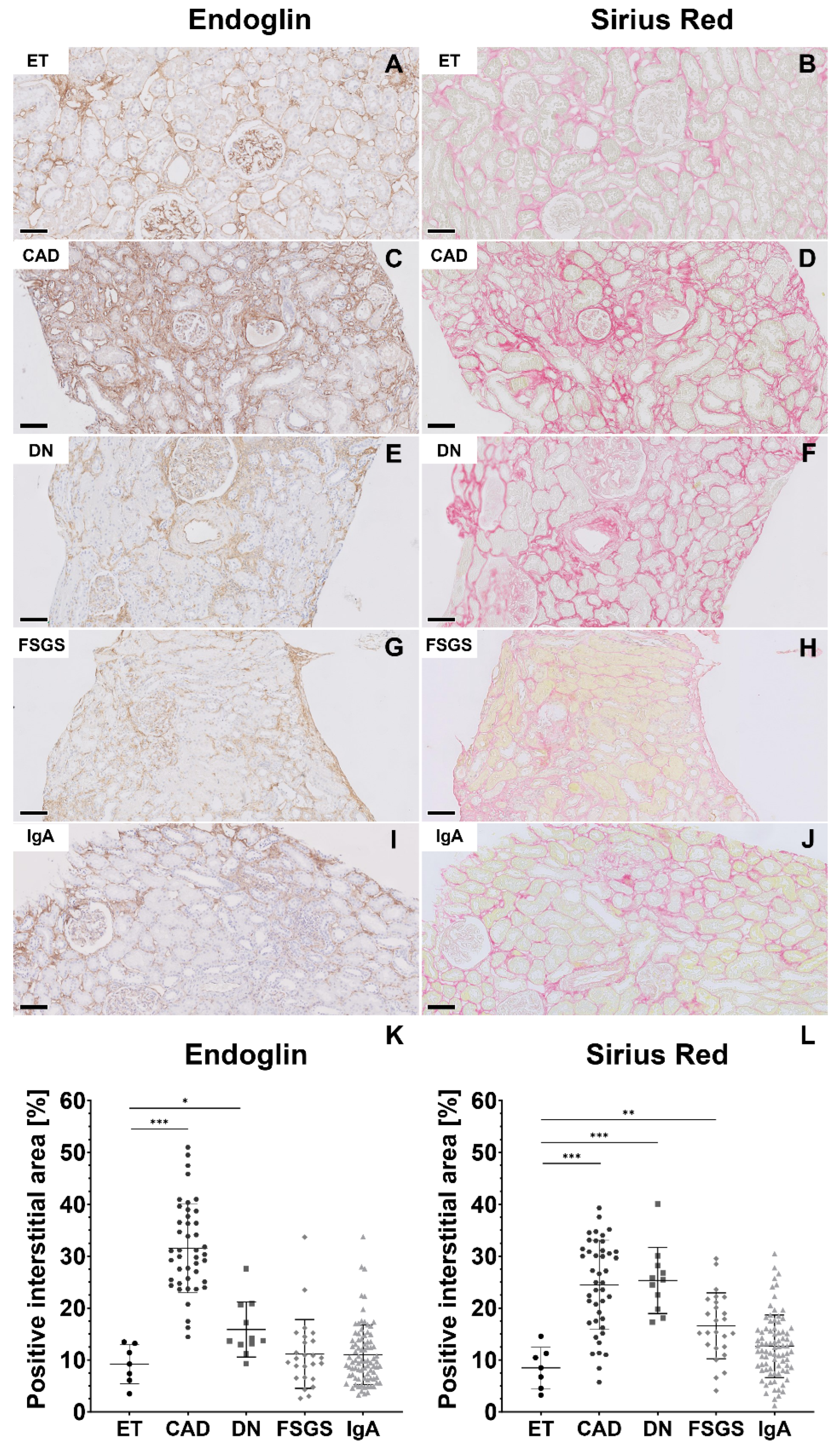 Ijms 24 00646 g001 Ijms 24 00646 g001