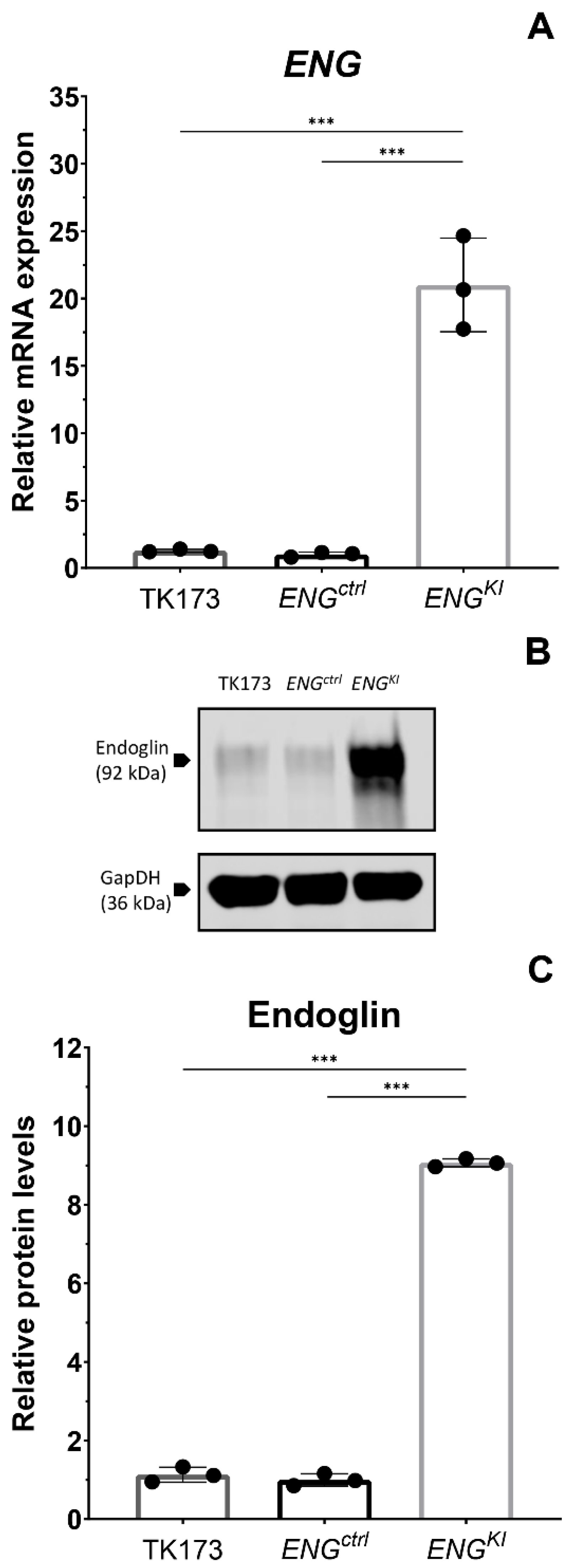 Ijms 24 00646 g003 Ijms 24 00646 g003