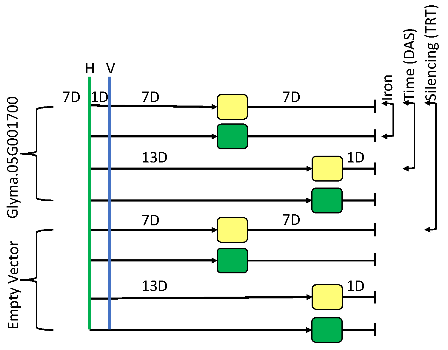 Ijms 24 00647 g001 Ijms 24 00647 g001