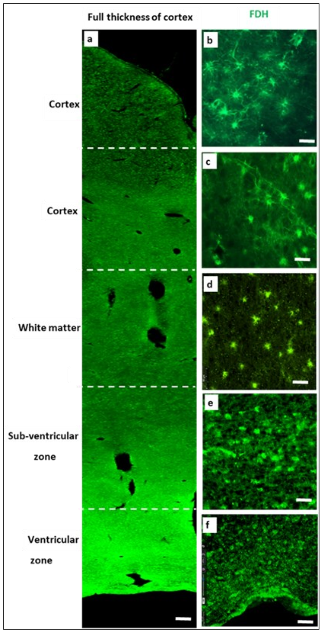 Ijms 24 00660 g002 Ijms 24 00660 g002