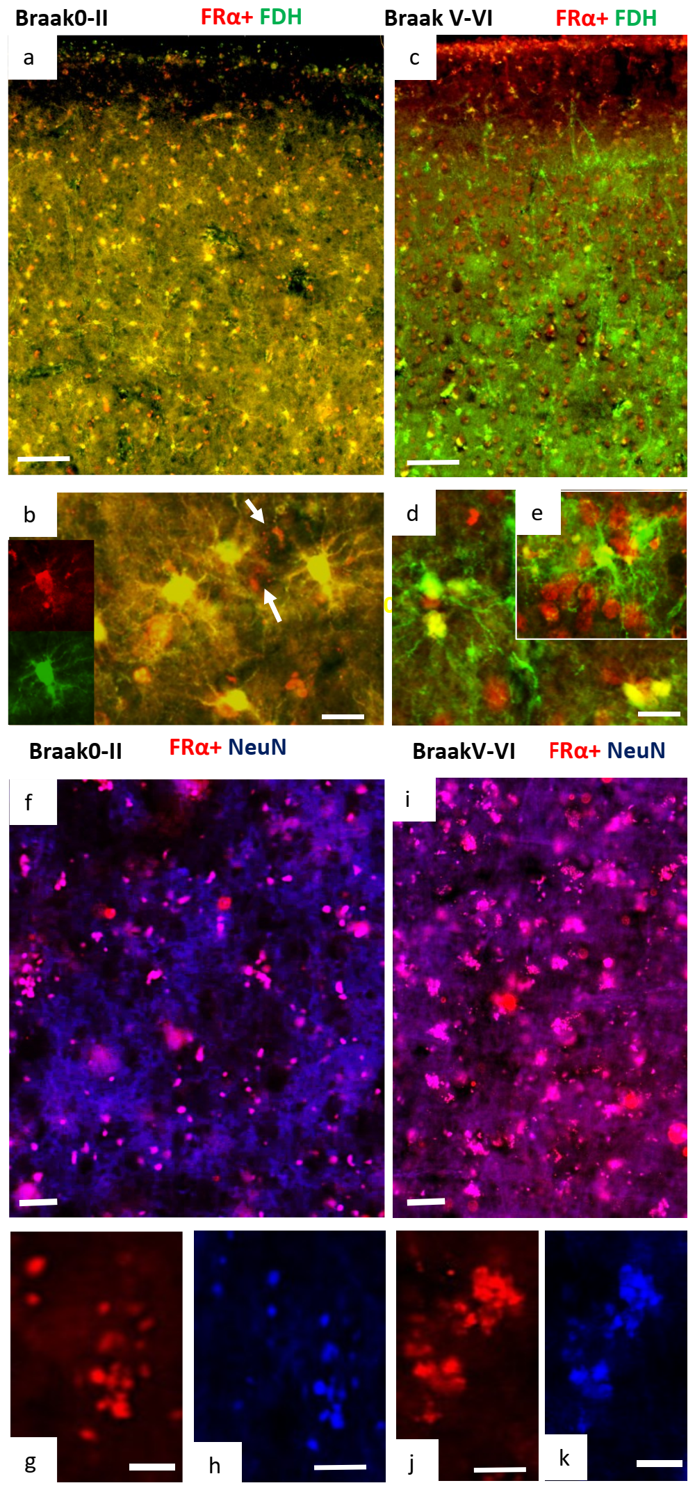 Ijms 24 00660 g004 Ijms 24 00660 g004
