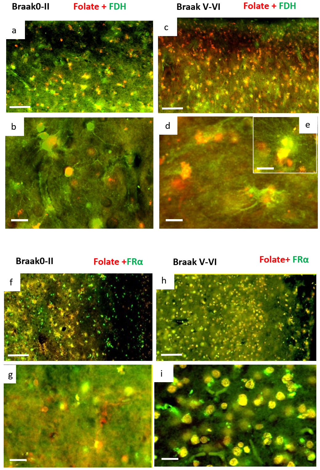 Ijms 24 00660 g006 Ijms 24 00660 g006