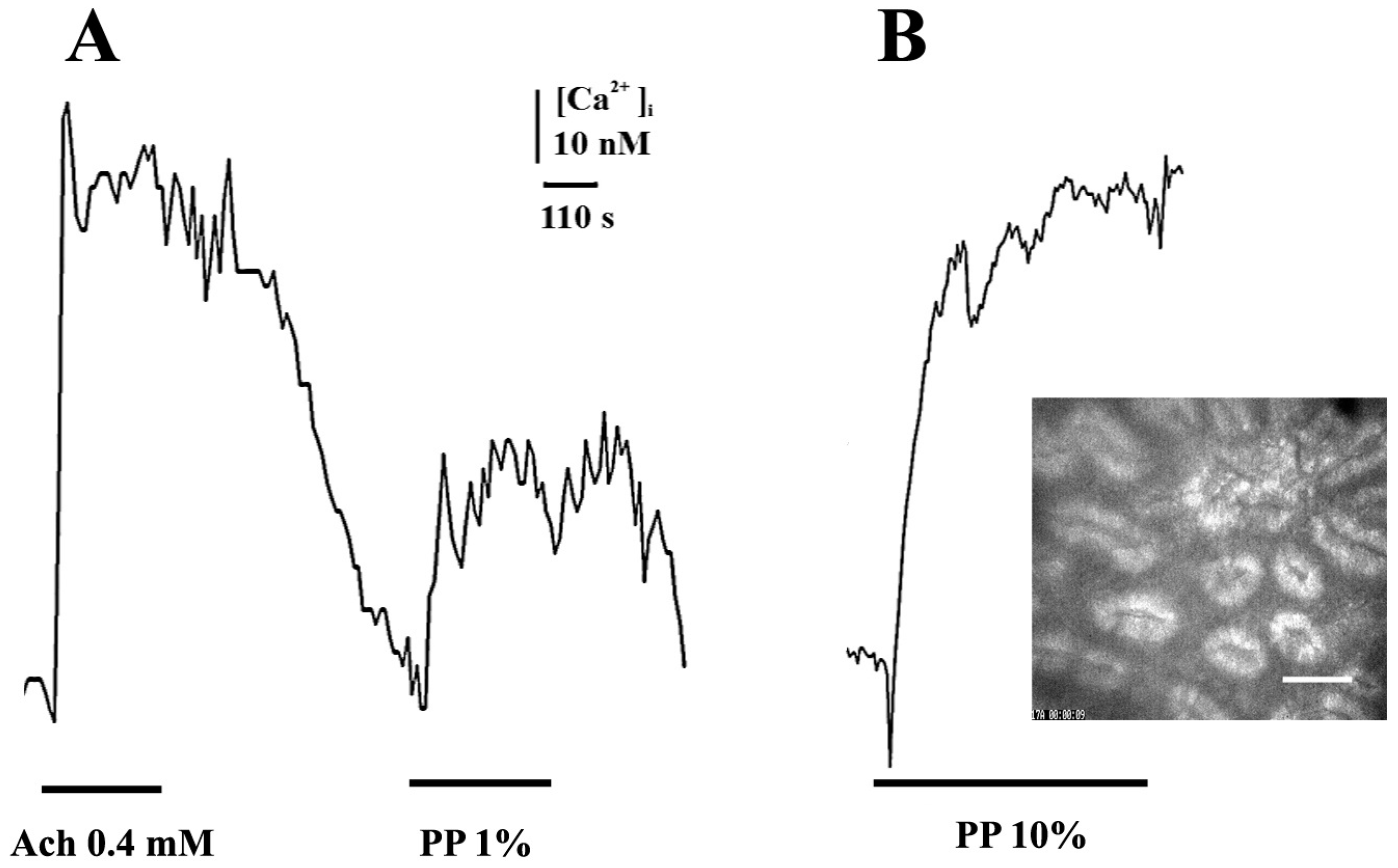 Ijms 24 00662 g002 Ijms 24 00662 g002