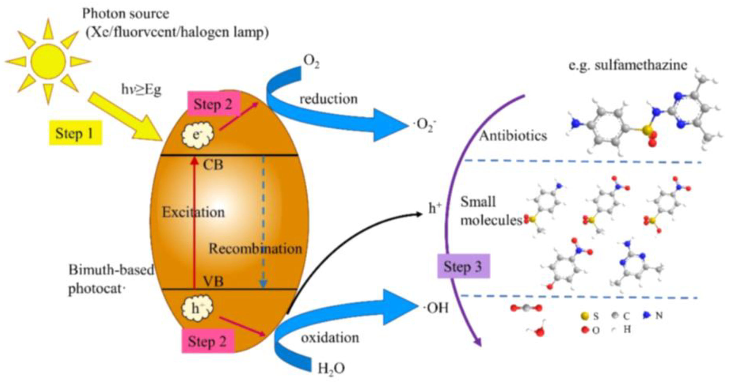 Ijms 24 00663 g001 Ijms 24 00663 g001