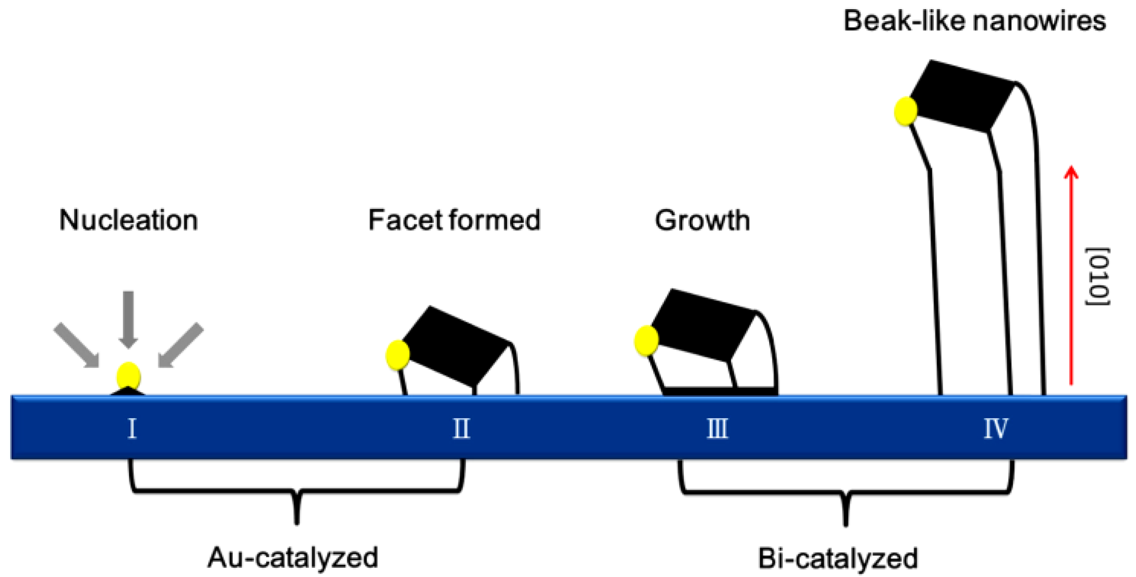 Ijms 24 00663 g004 Ijms 24 00663 g004