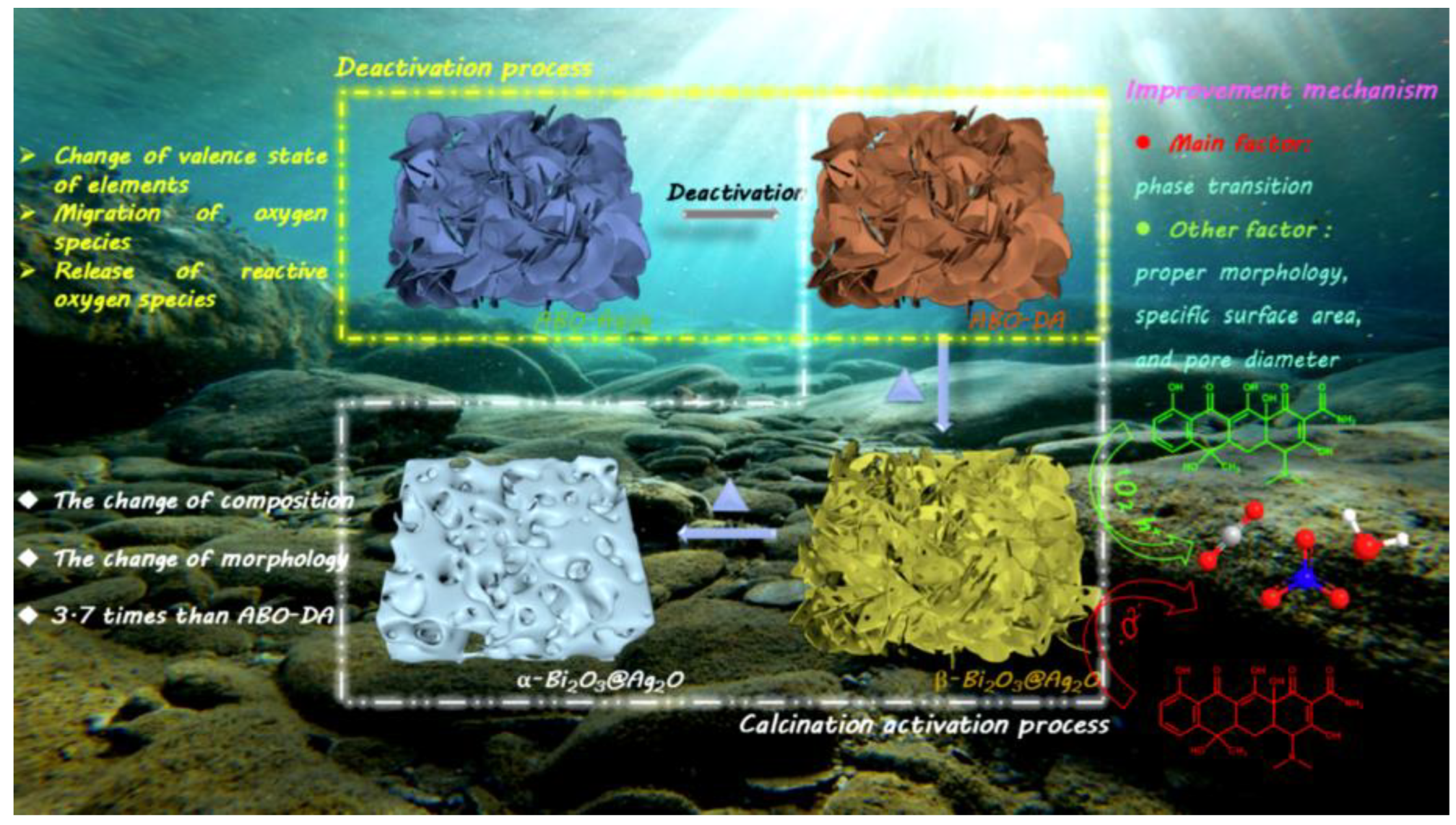 Ijms 24 00663 g005 Ijms 24 00663 g005