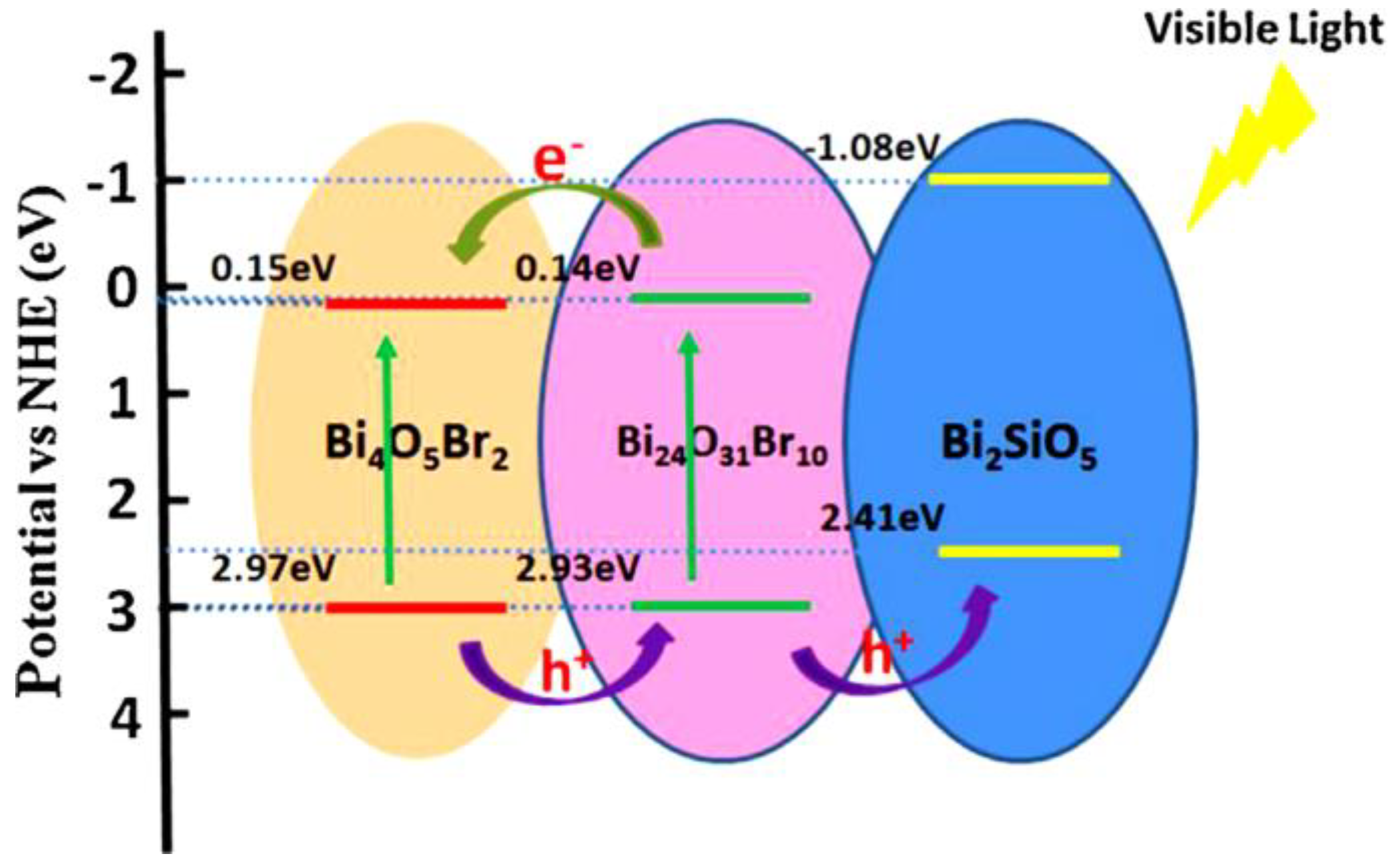 Ijms 24 00663 g008 Ijms 24 00663 g008