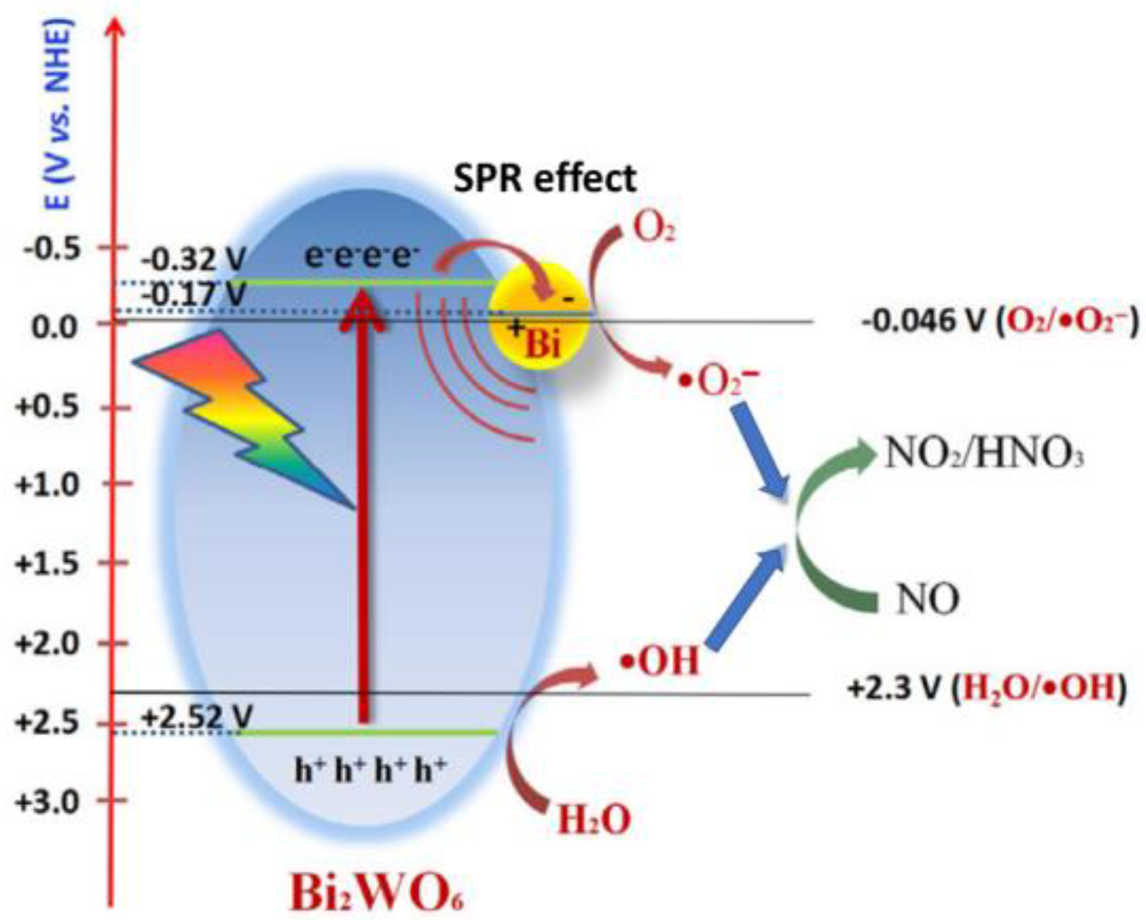 Ijms 24 00663 g009 Ijms 24 00663 g009