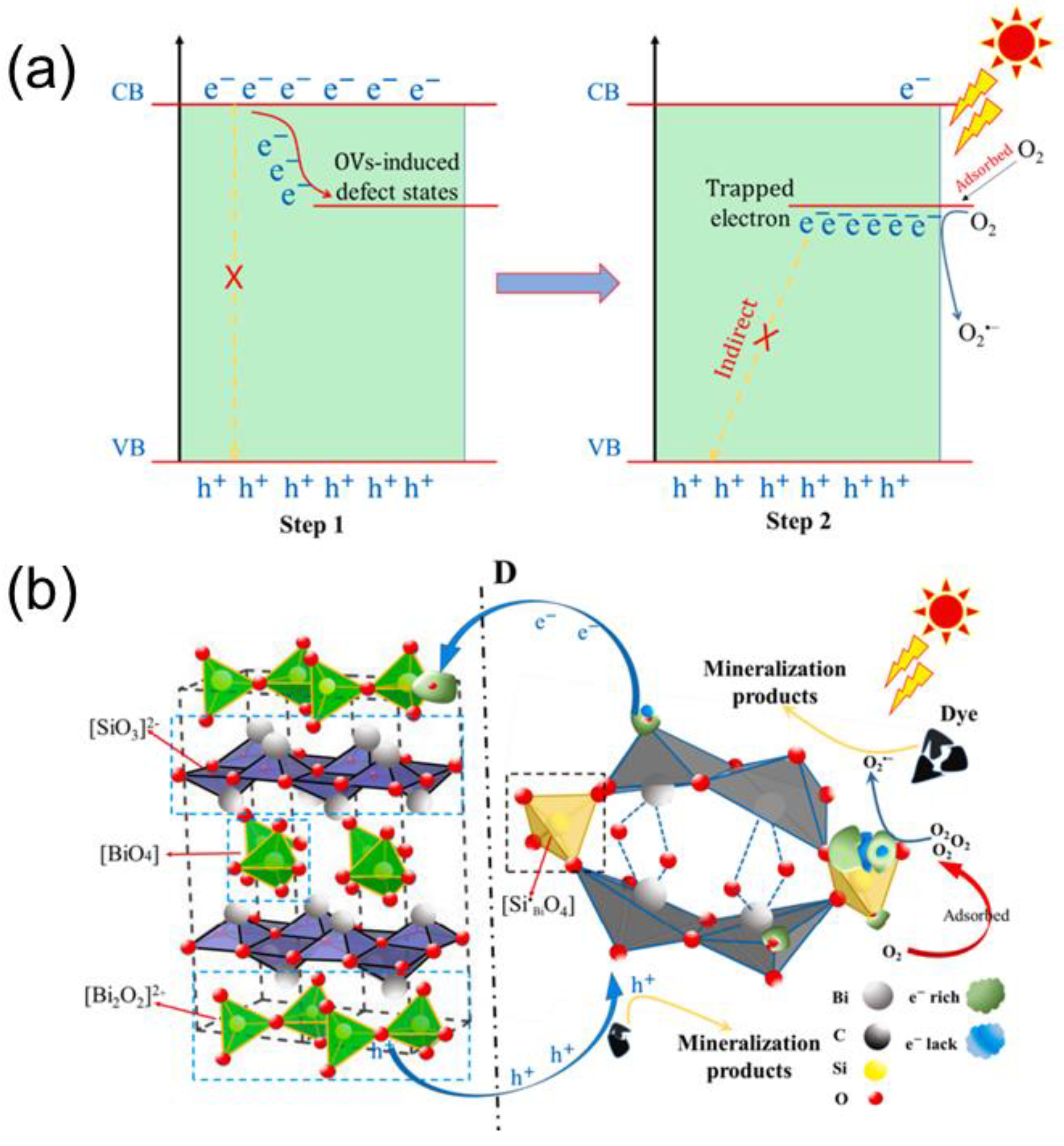 Ijms 24 00663 g015 Ijms 24 00663 g015