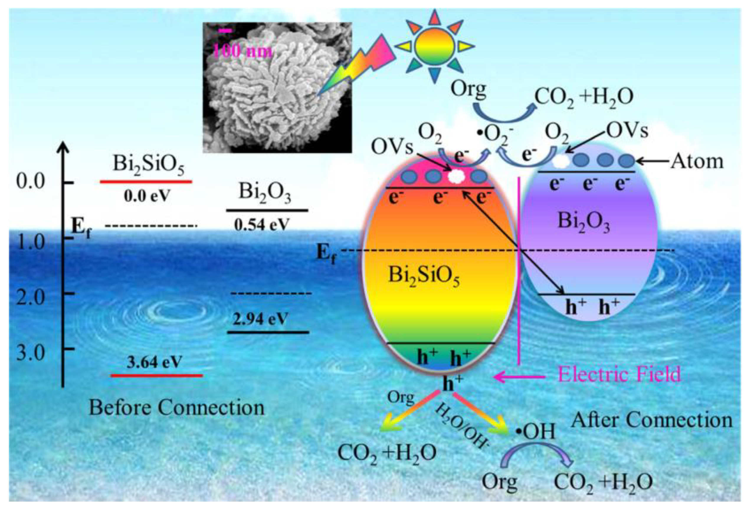 Ijms 24 00663 g016 Ijms 24 00663 g016