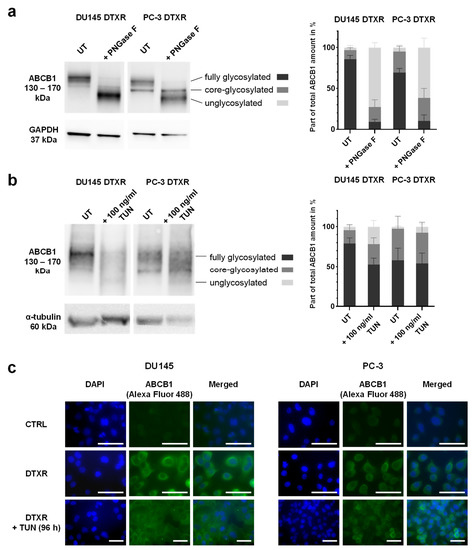 Comprehensive Evaluation of Multiple Approaches Targeting ABCB1 to