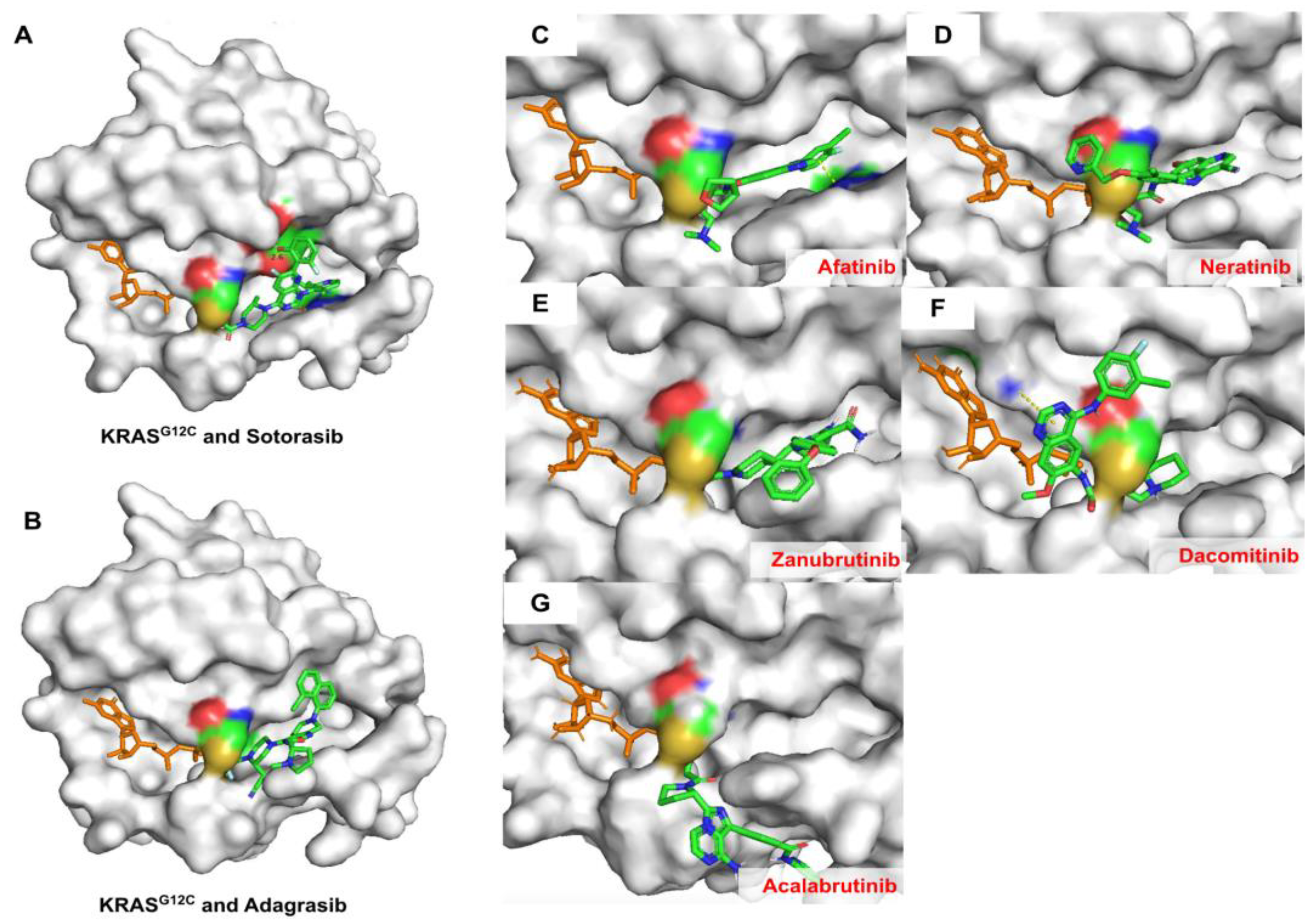 Ijms 24 00669 g008 Ijms 24 00669 g008