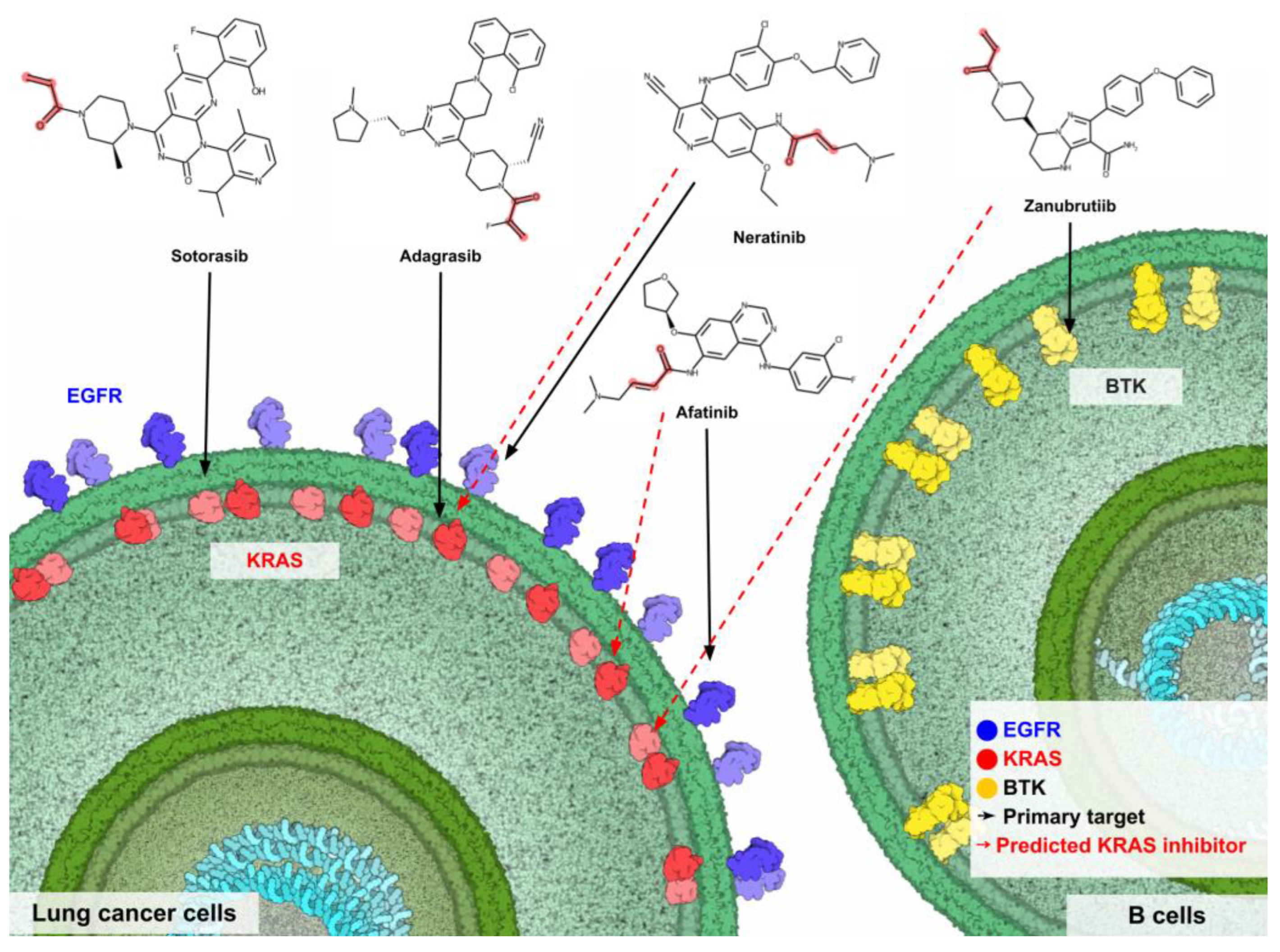 Ijms 24 00669 g010 Ijms 24 00669 g010