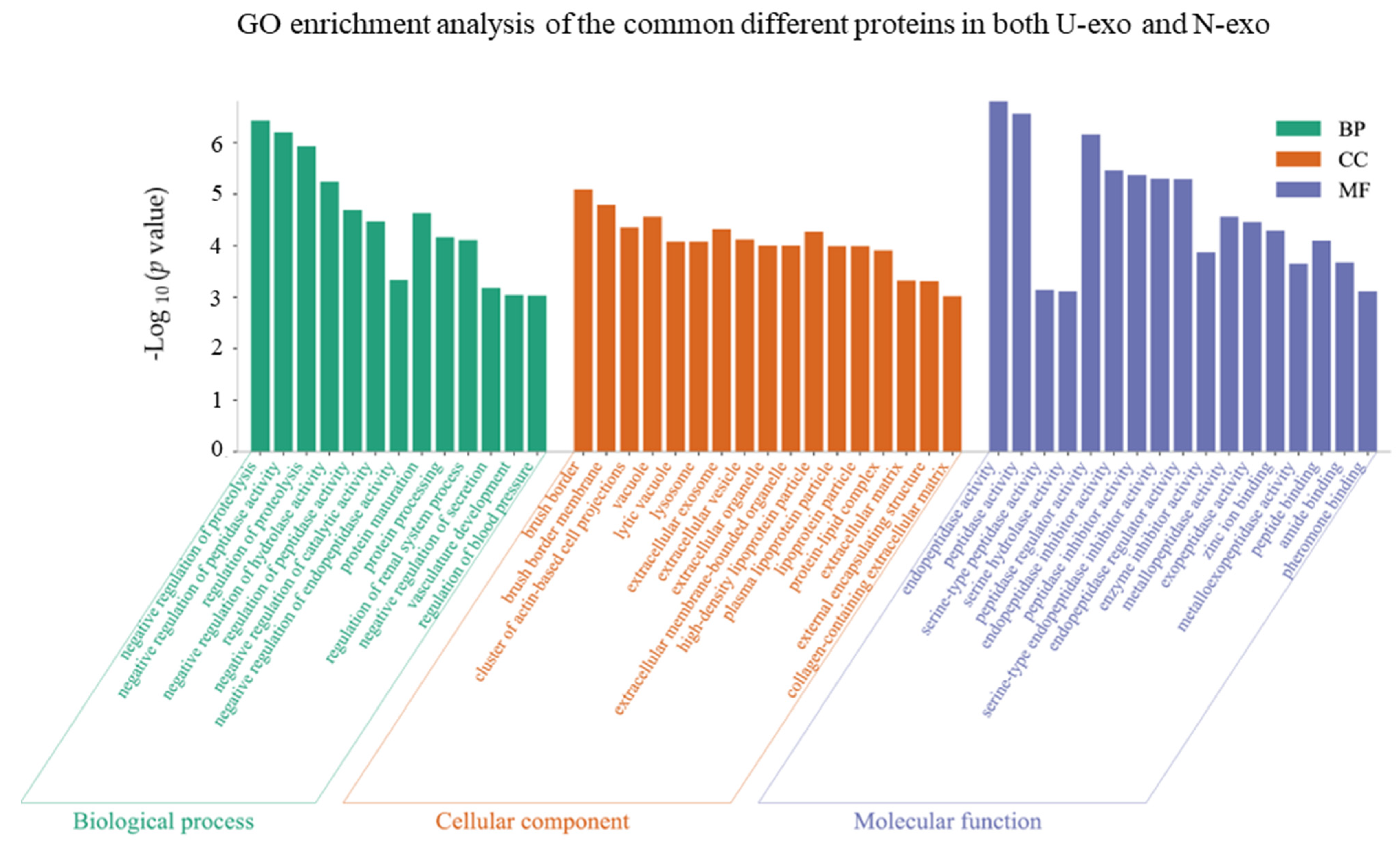 Ijms 24 00672 g005 Ijms 24 00672 g005
