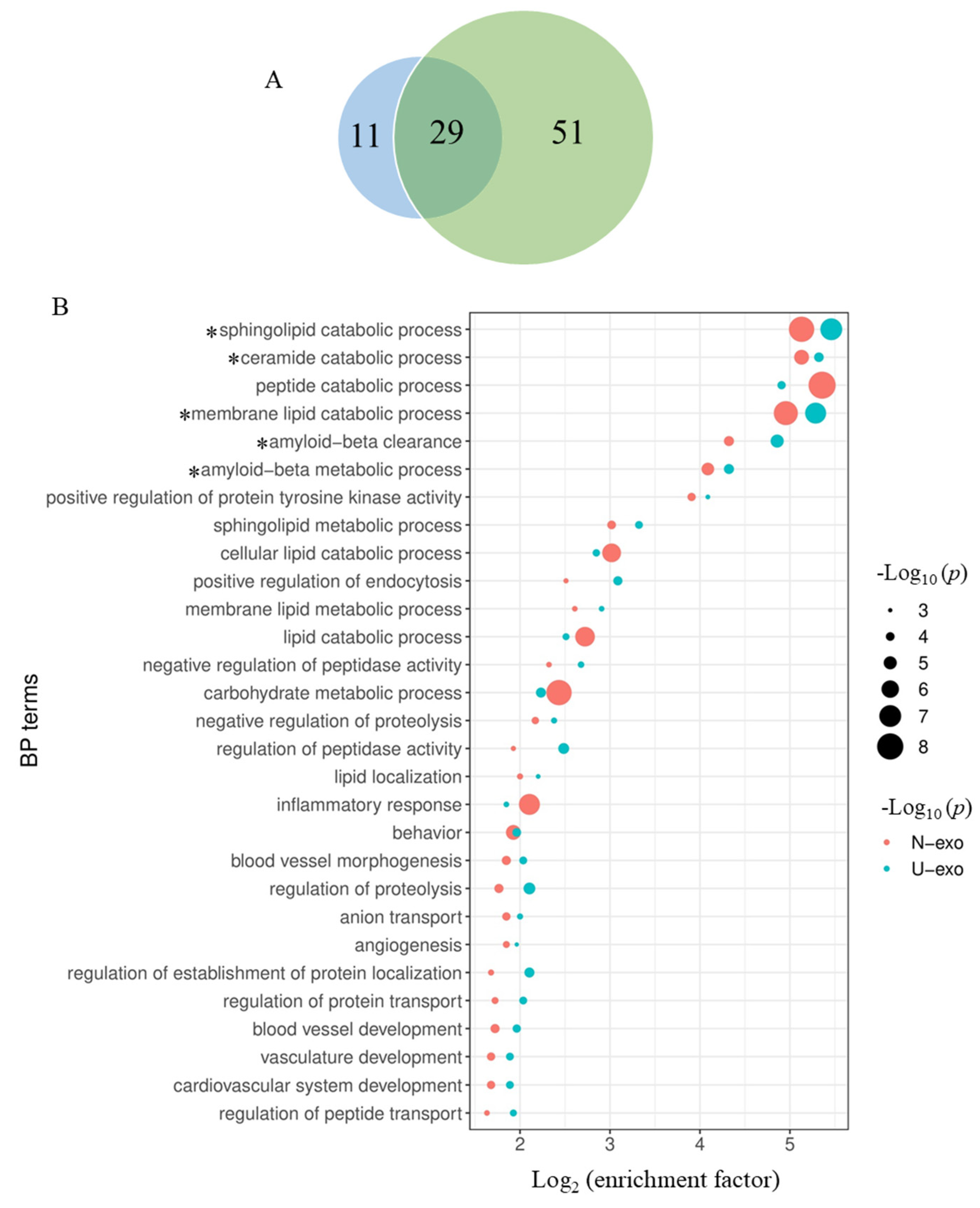 Ijms 24 00672 g007 Ijms 24 00672 g007