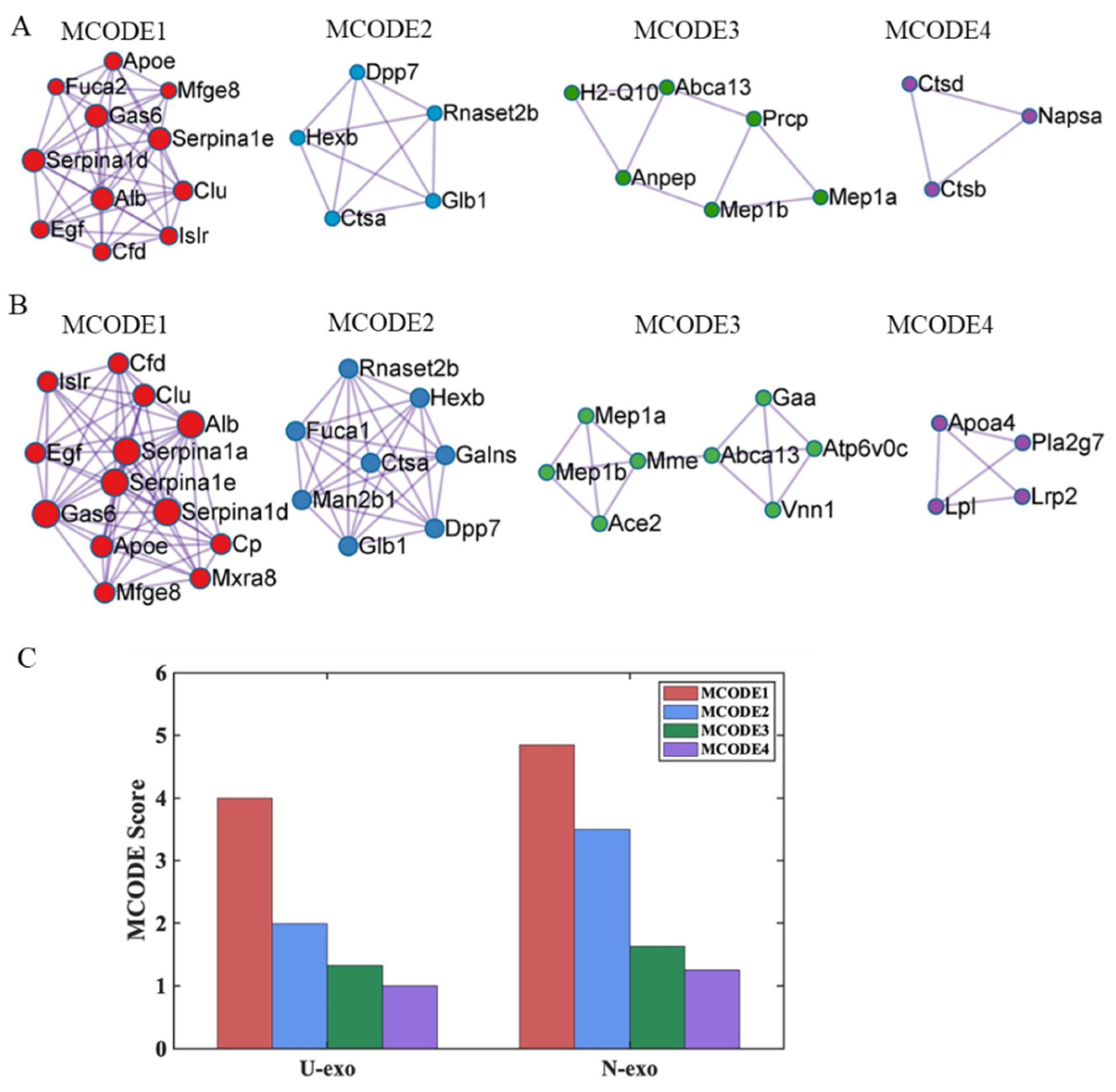 Ijms 24 00672 g008 Ijms 24 00672 g008