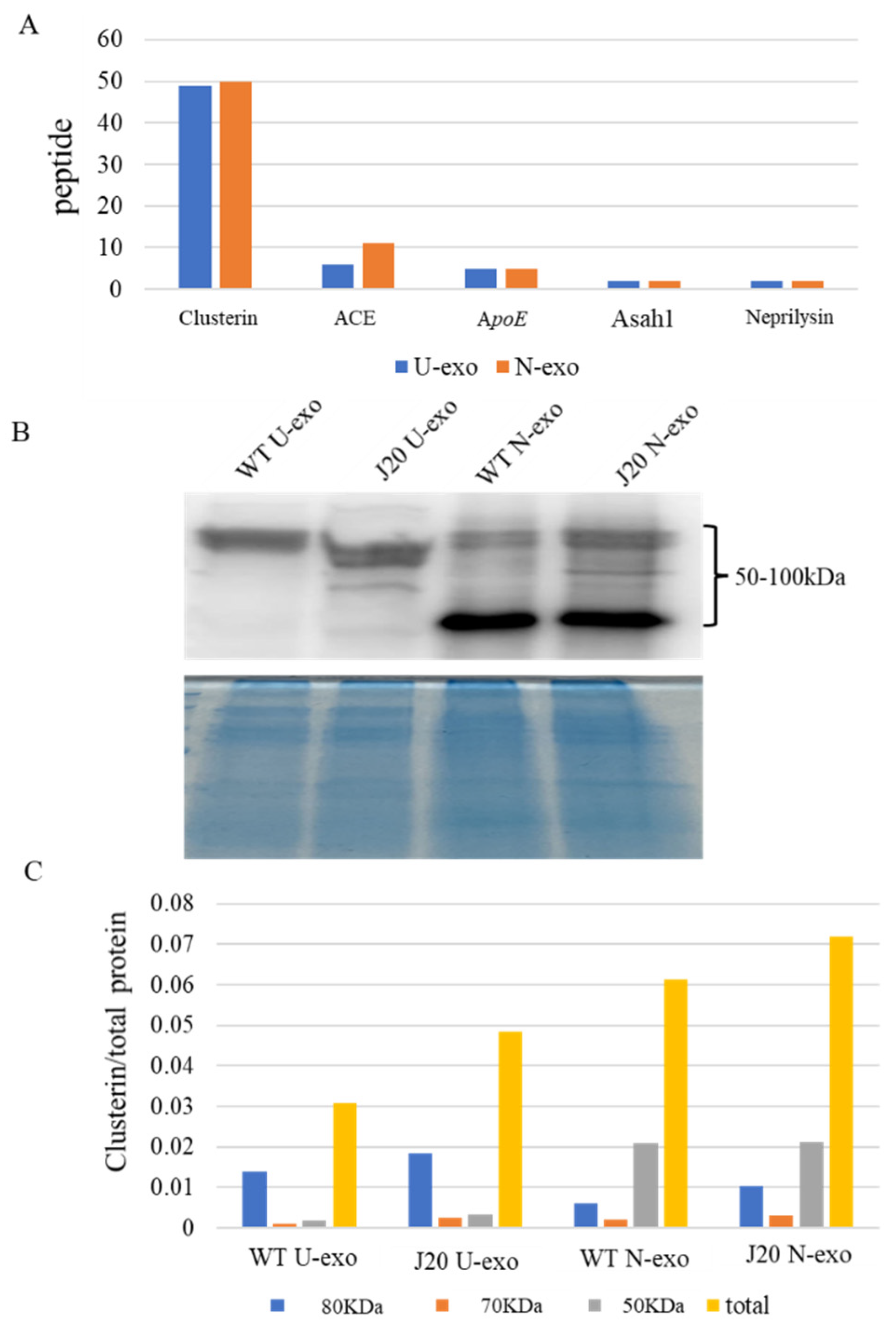 Ijms 24 00672 g009 Ijms 24 00672 g009