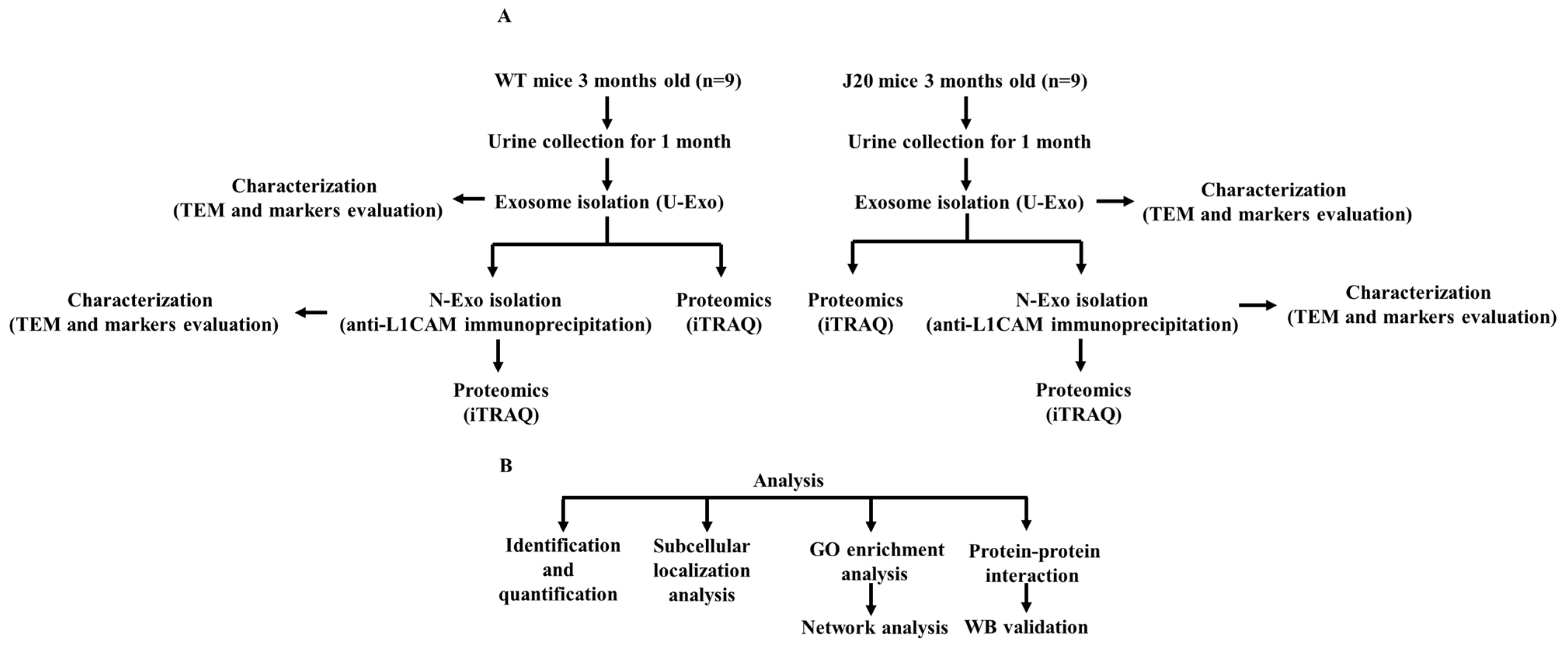 Ijms 24 00672 g010 Ijms 24 00672 g010