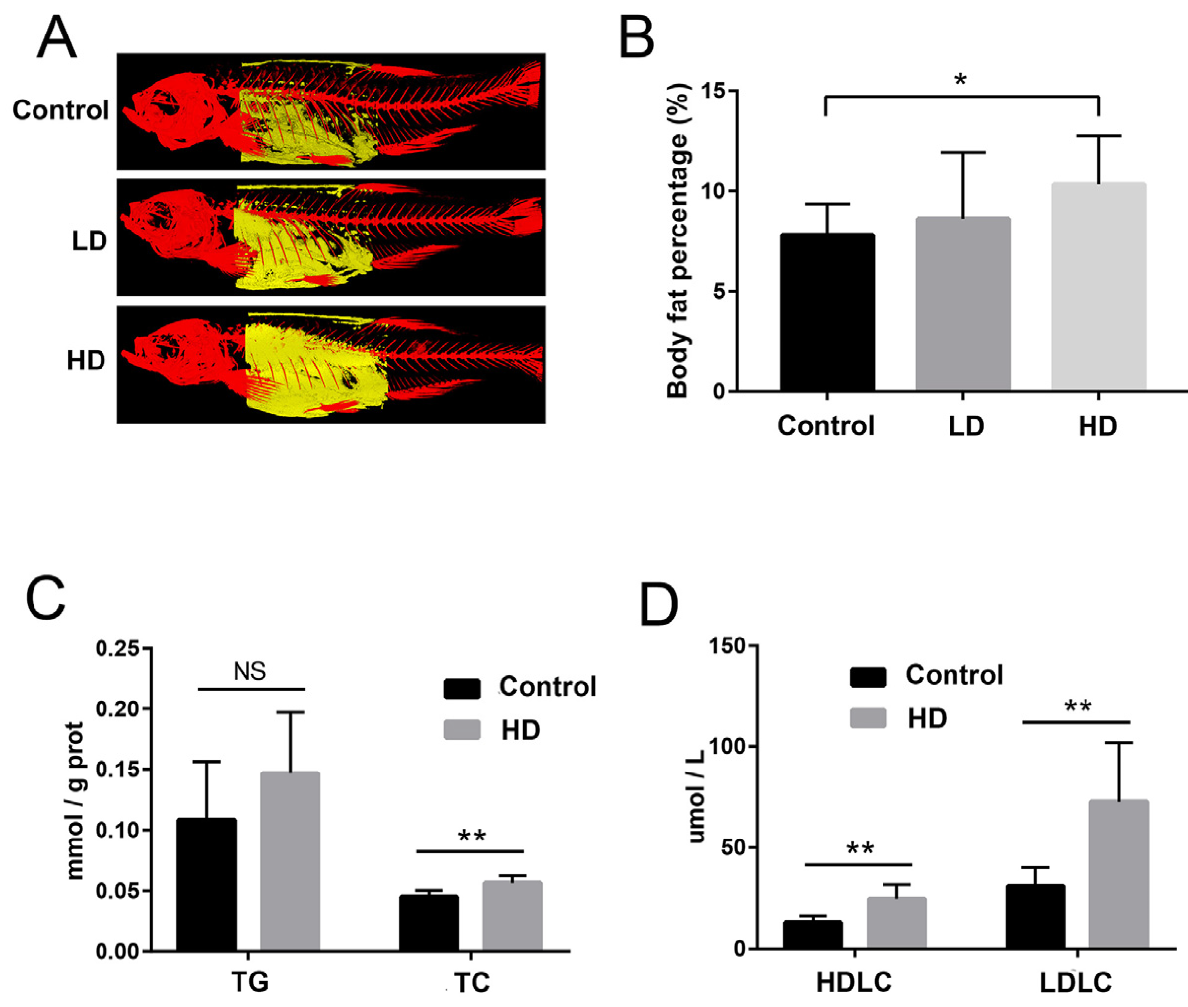 Ijms 24 00673 g002 Ijms 24 00673 g002