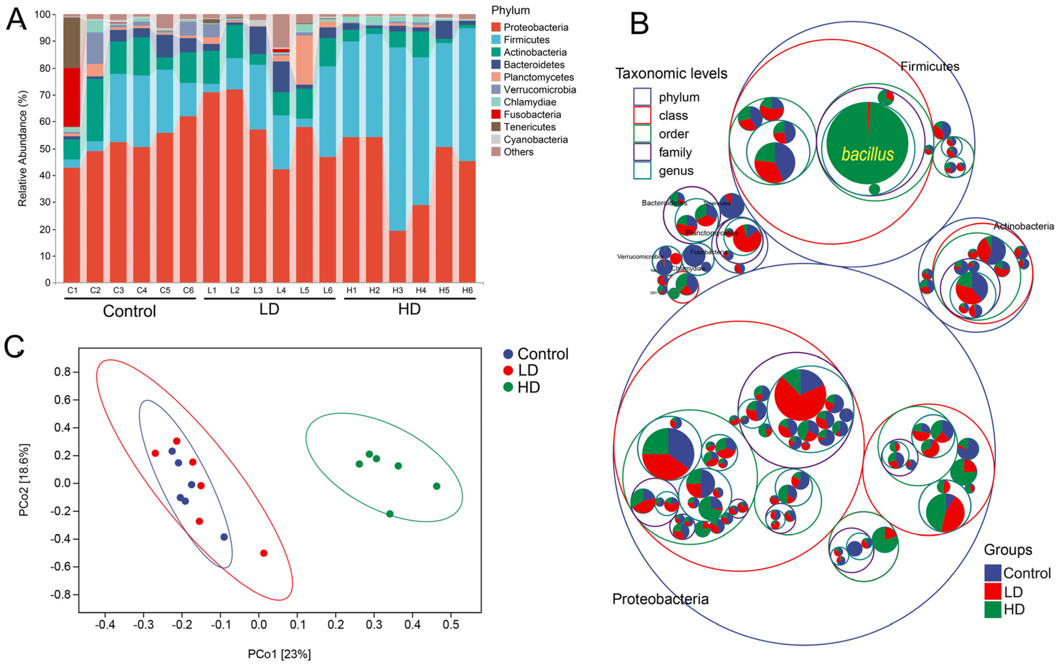 Ijms 24 00673 g003 Ijms 24 00673 g003